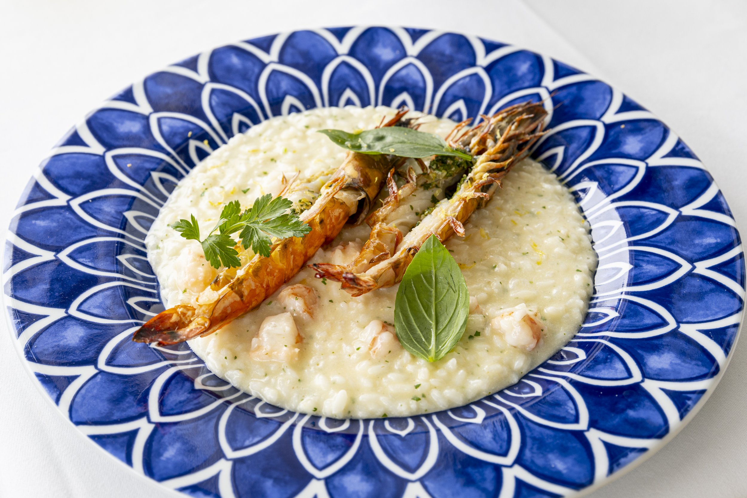 CORLEONE_FRP, 16052024-13.jpg