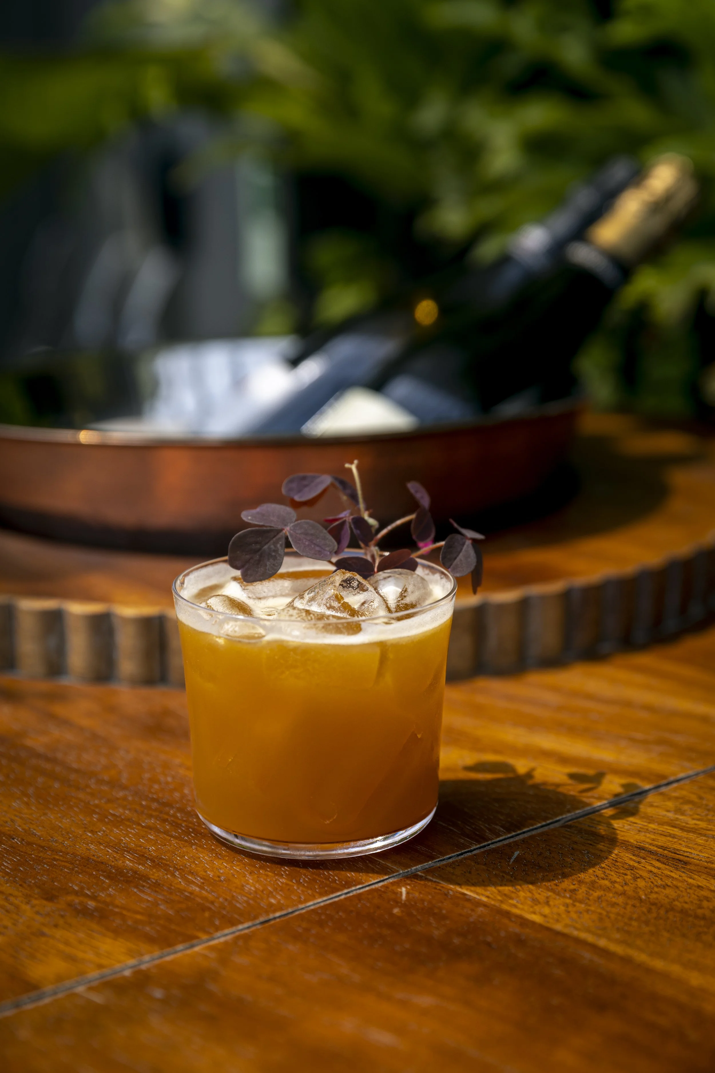 BABYLONBAR_FRP, 10052023-7.jpg