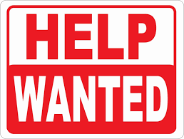 POSITION VACANT -Woolworths Cricket Blast Coordinator 