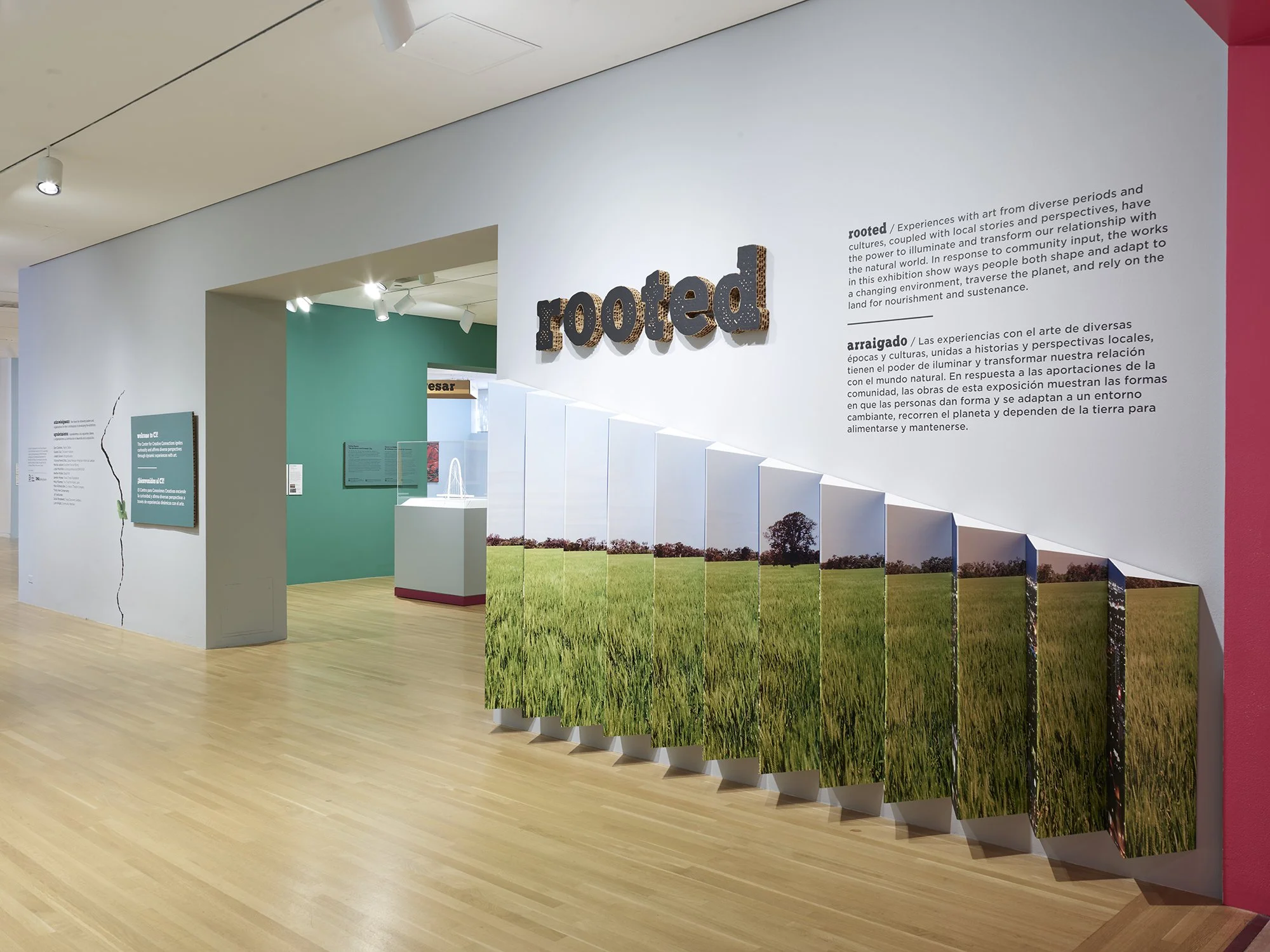 C3 Rooted-01_o5 copy.jpg