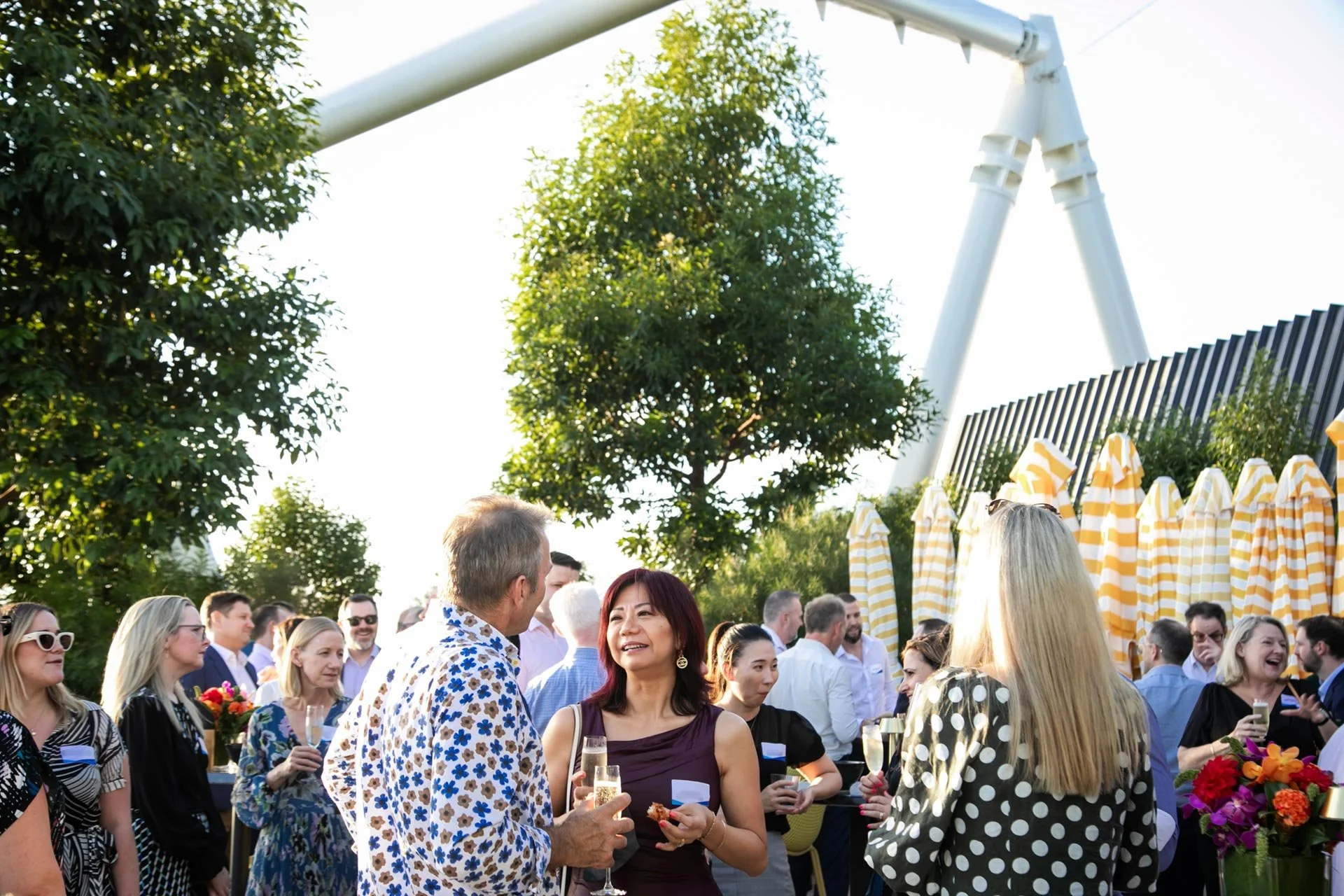 Guests mingling at Hall and Wilcox client cocktail event