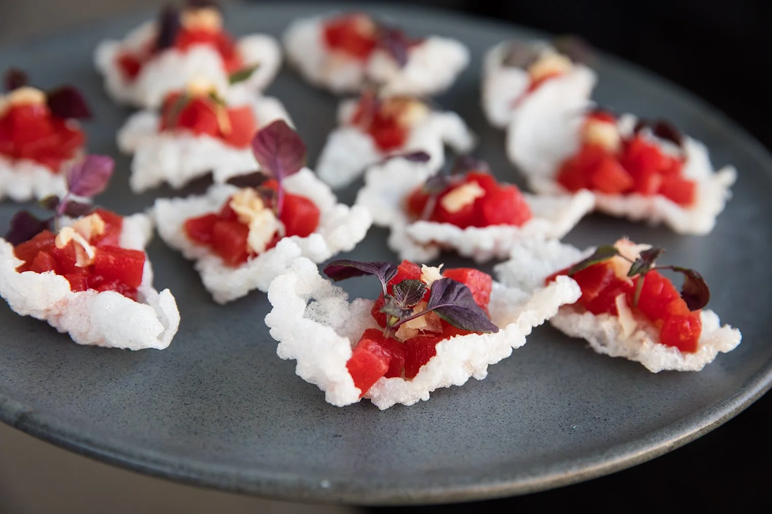 Colourful canapes plated beautifully for a Brisbane corporate event