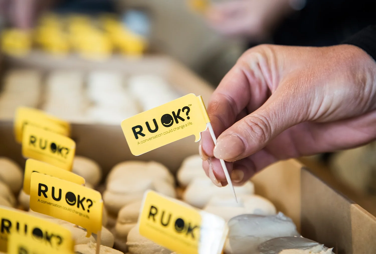 Promotional detail at R U OK? Day public event