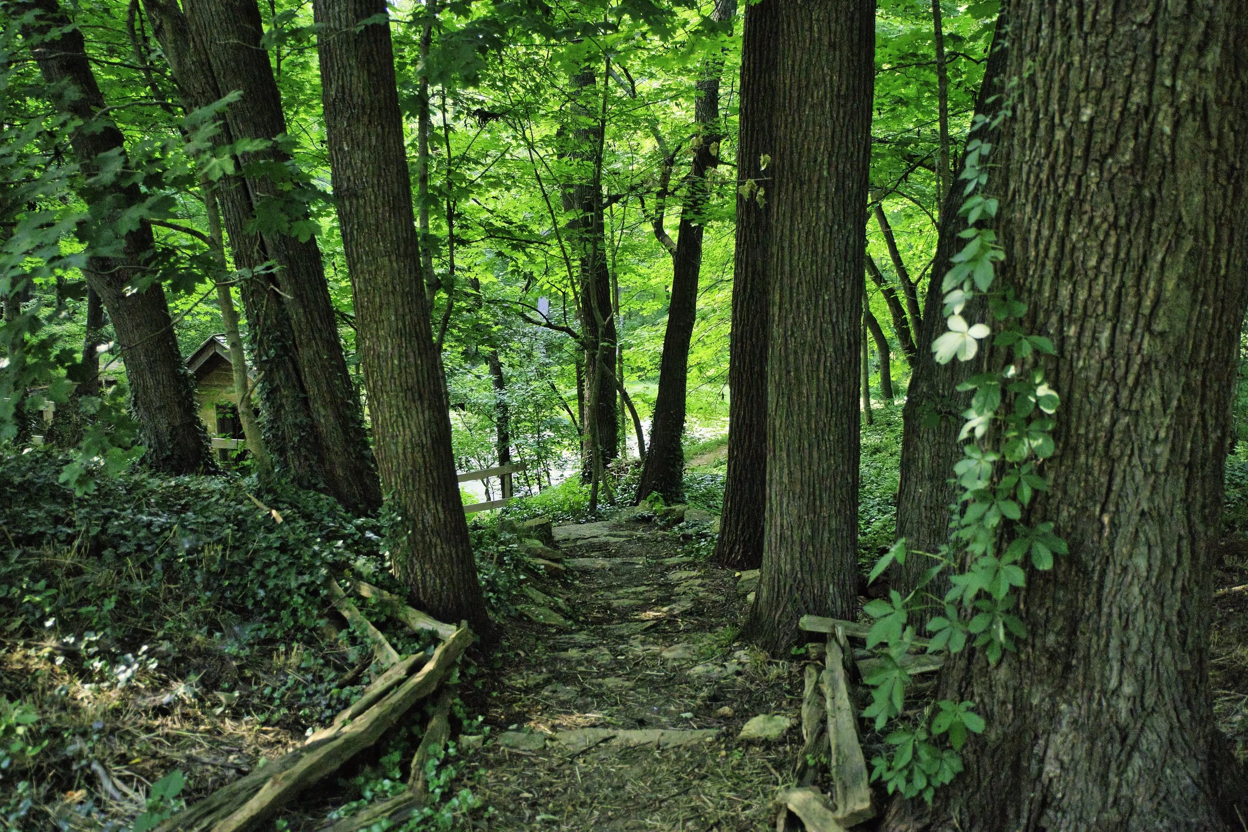Green Stairway Down JPEG.jpg