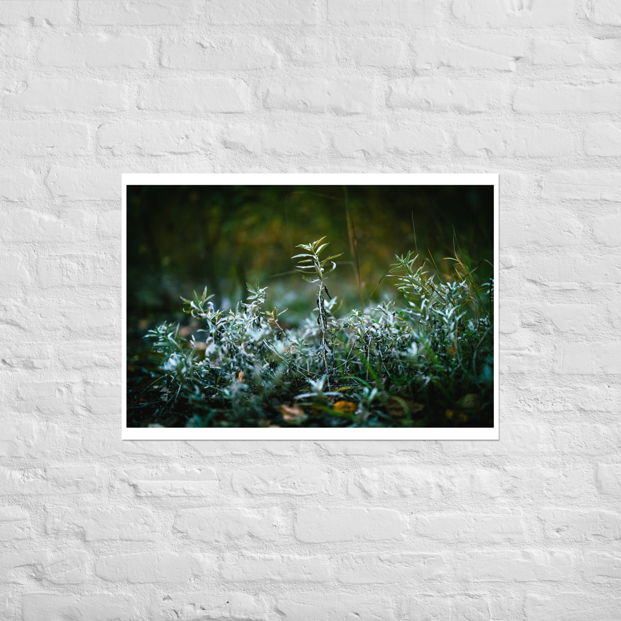 enhanced-matte-paper-poster-(in)-a1-(23.3x33.1)-front-67439a8f2aba2.jpg