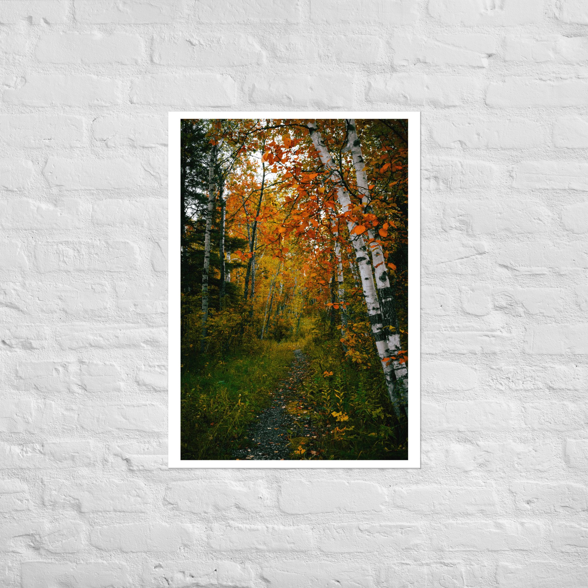 enhanced-matte-paper-poster-(in)-a1-(23.3x33.1)-front-6743a0df1c531.jpg