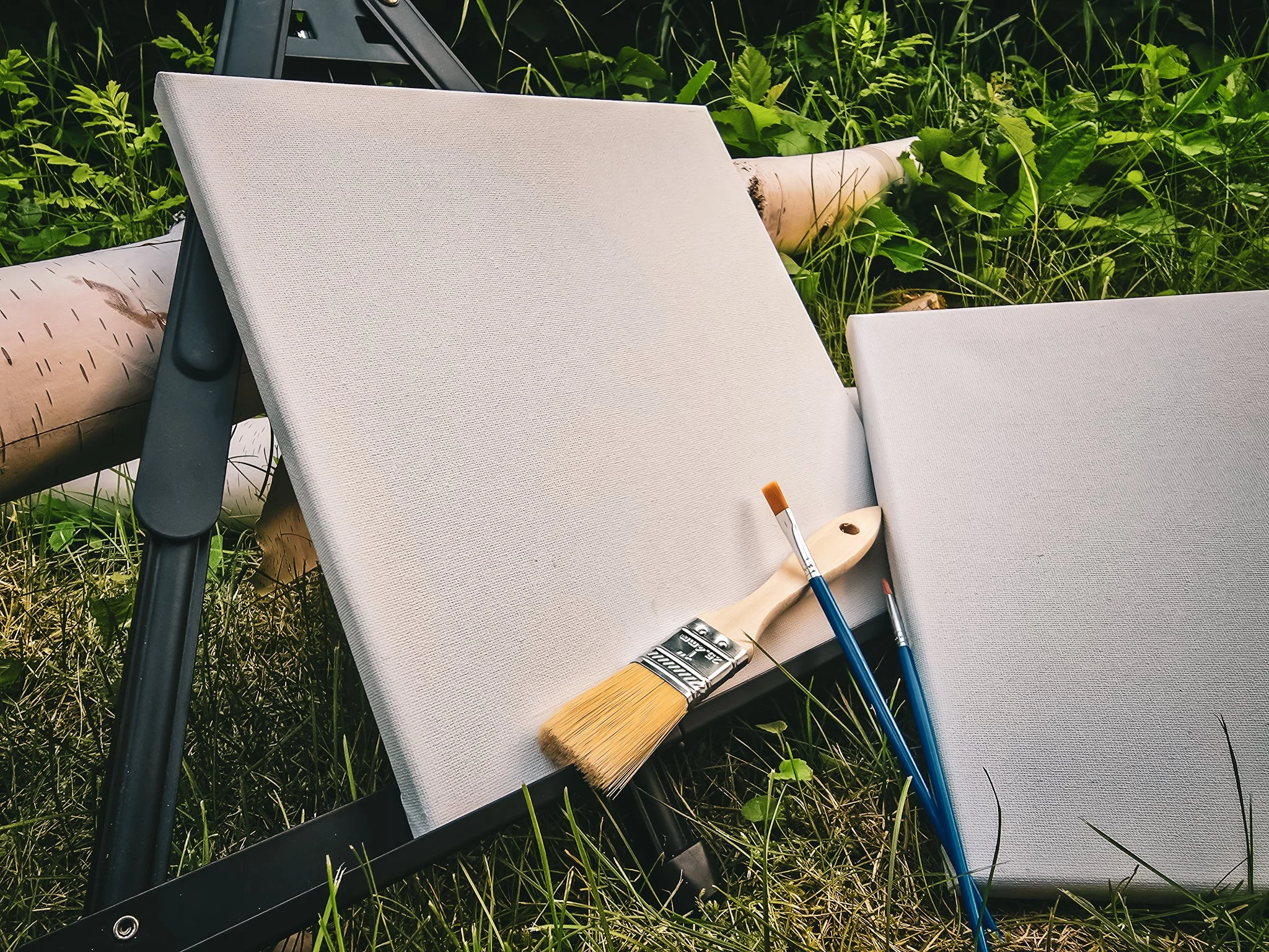 August 29, 2026 Saturday Booking | Paint the Land: Lake Katherine Reflections