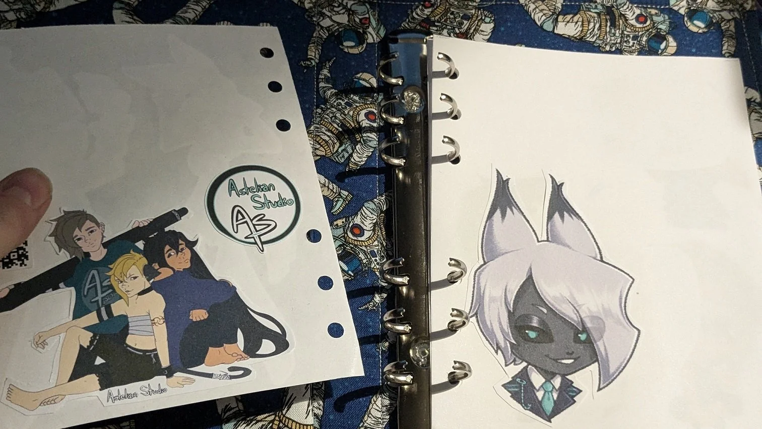 Reusable Sticker Binder [In Use].jpg