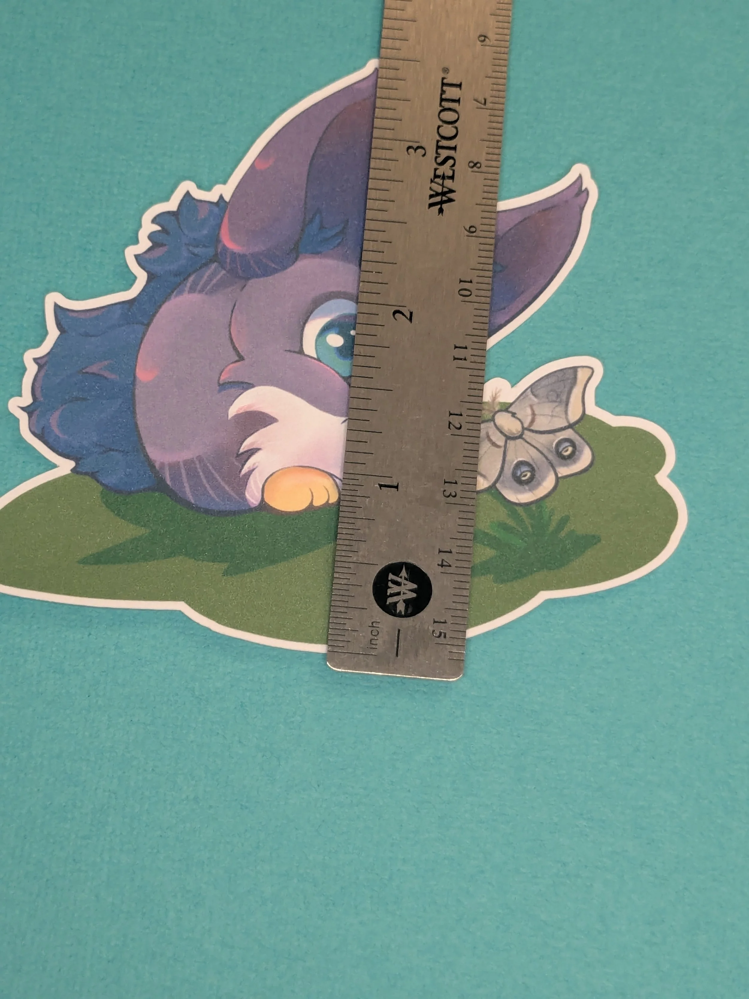 PXL_20260830_221001785.jpg