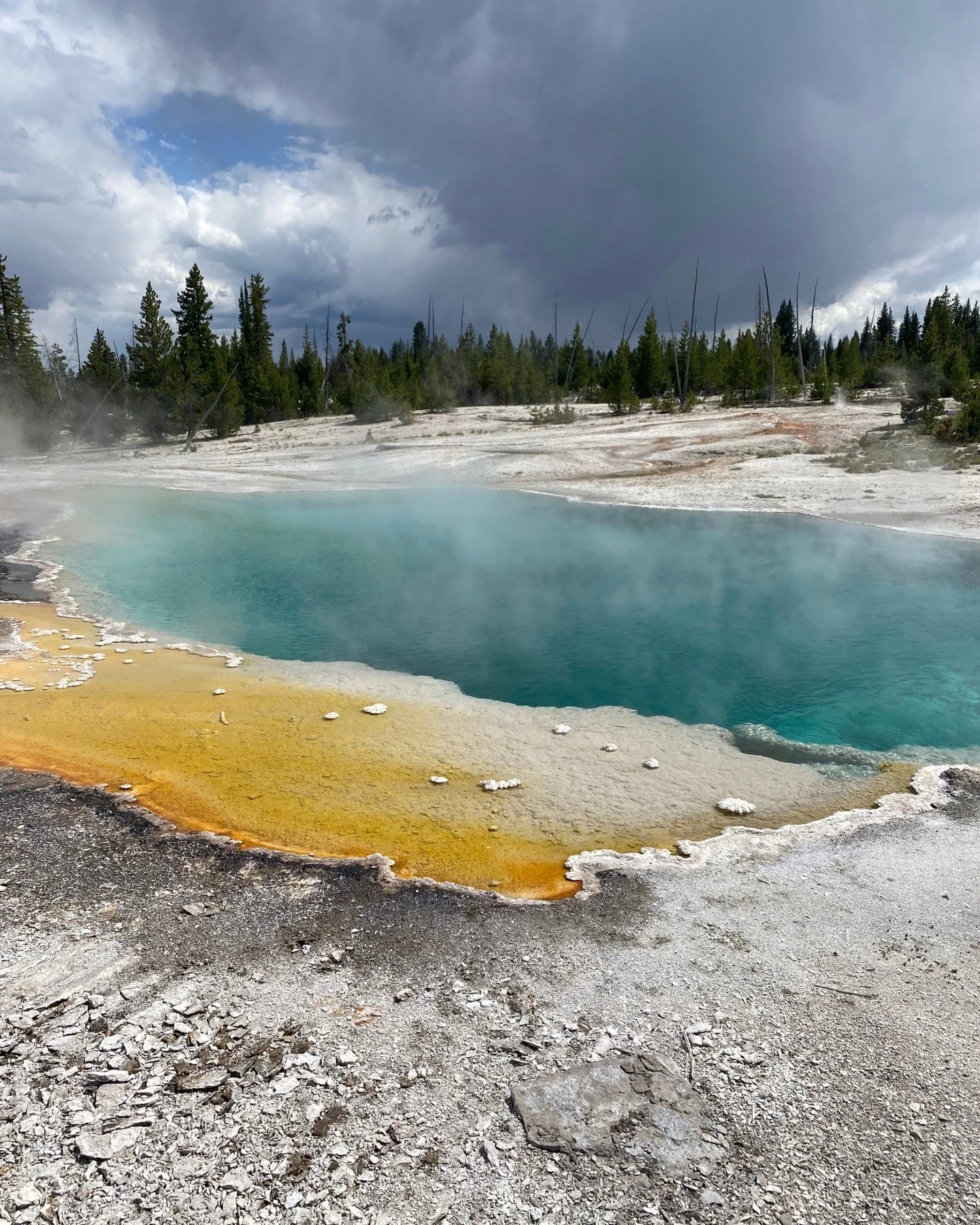 We are located just 30 minutes to the North Entrance of Yellowstone National Park 🌋
Where hot springs, geysers, and wild, living landscapes remind you how incredible this world truly is.

#yellowstonenationalpark #exploreyellowstone
