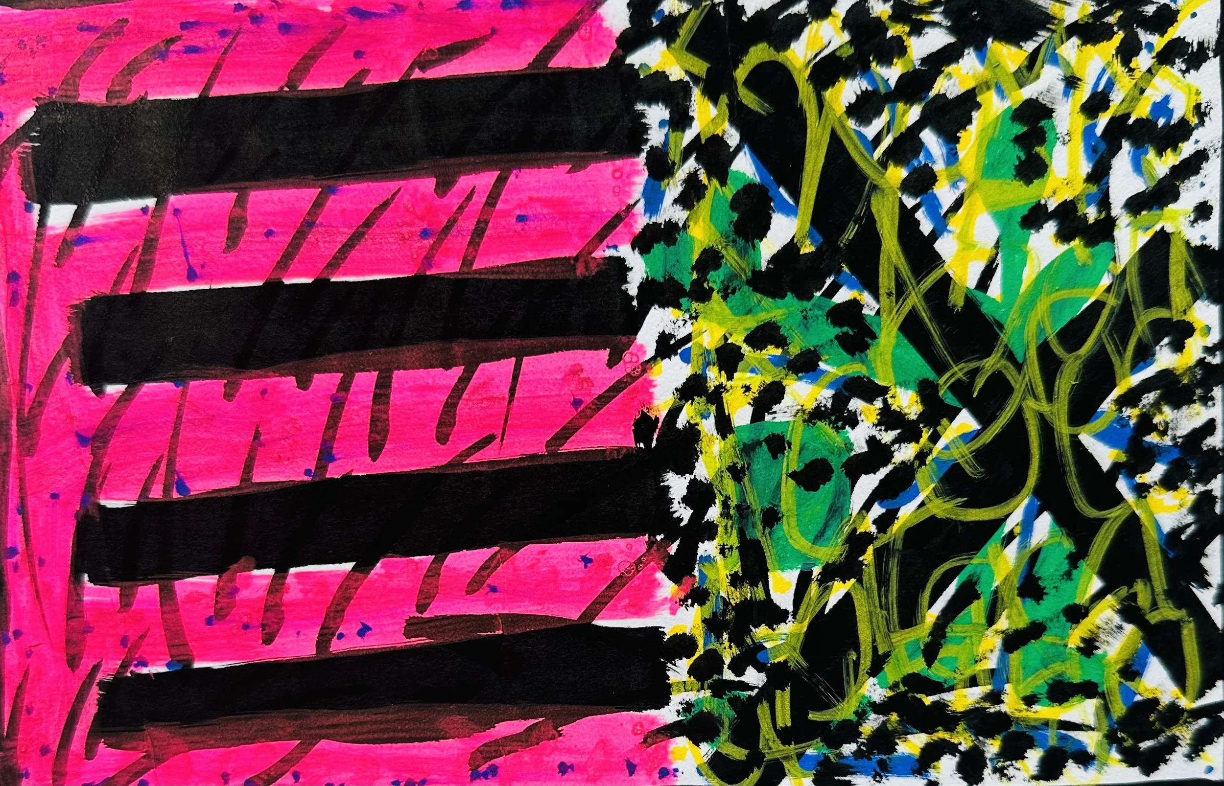 IMG_6458.jpeg