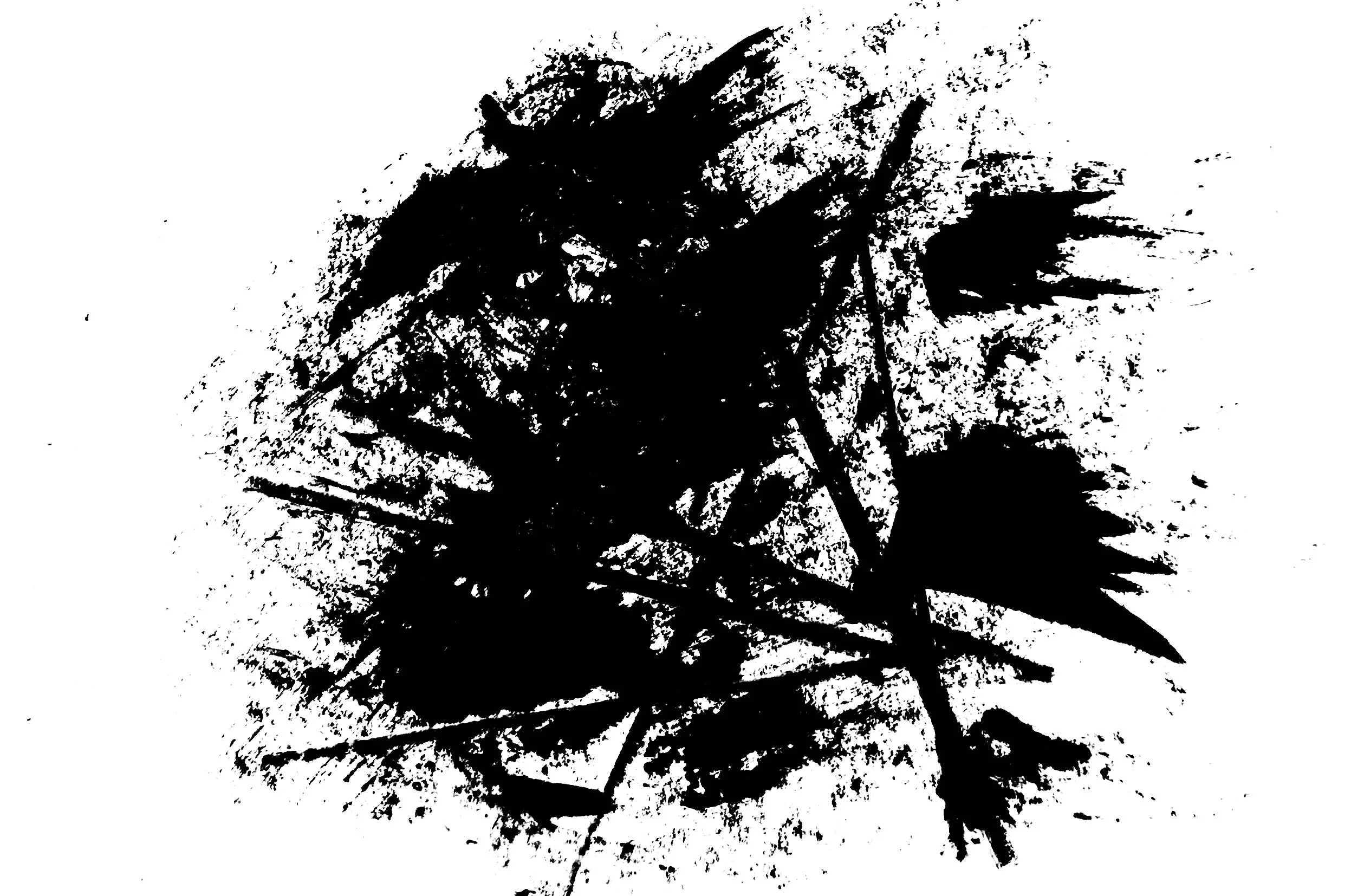 IMG_8329.jpeg