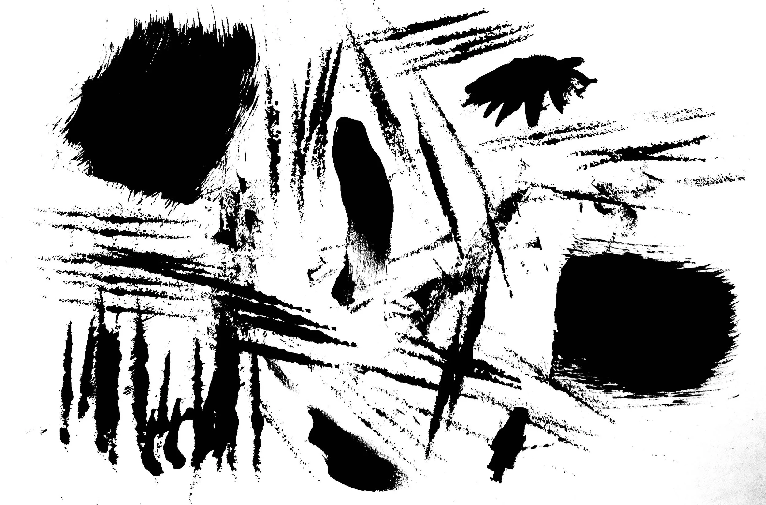 IMG_8511.jpeg