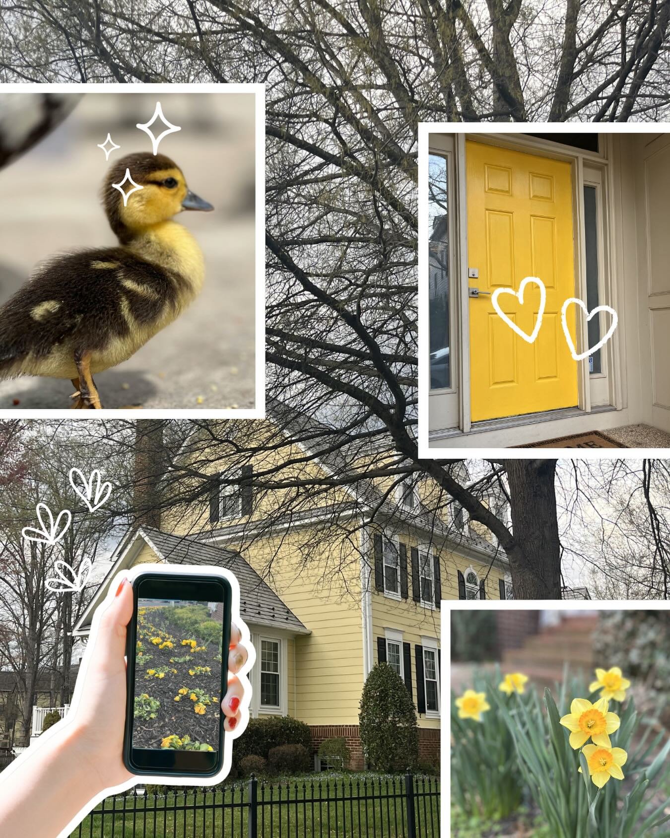 Get out and enjoy the beautiful spring weather today with a mindful color walk!

Focusing on one color brings your attention out of your thoughts and into the present moment 💛

#colorwalk #mindfulness #emotionalregulationtools #weekendreset