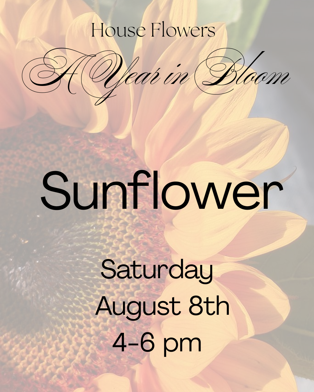 A Year in Bloom- Sunflower August 8st