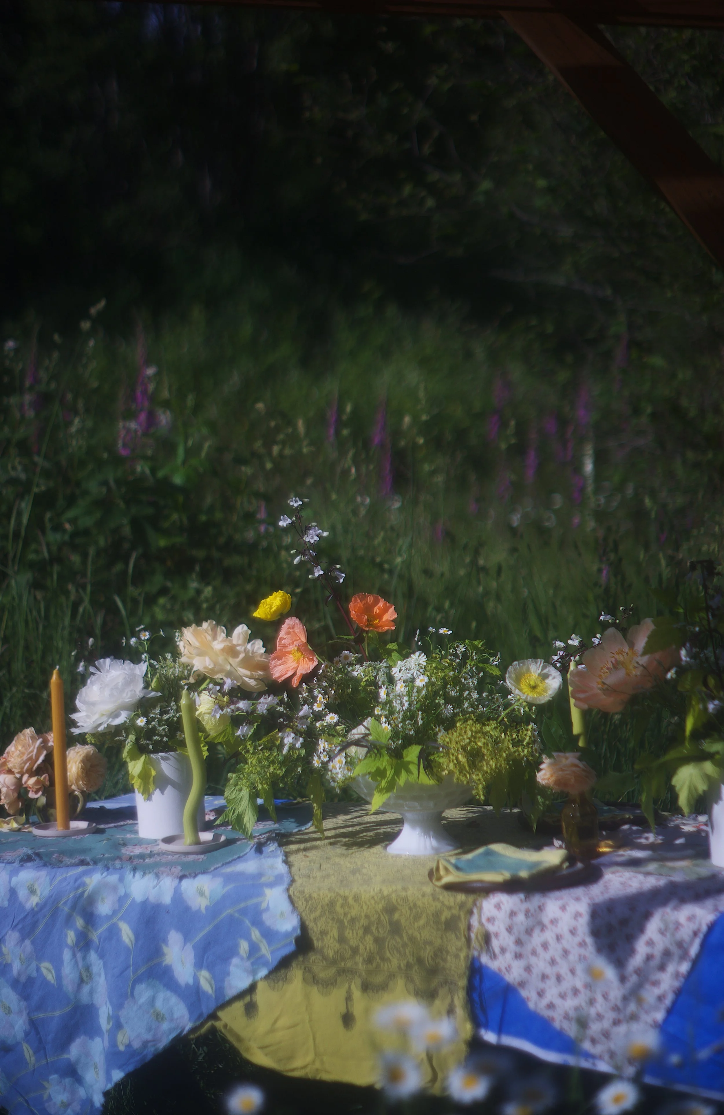 June 1 poppy ethereal.jpeg