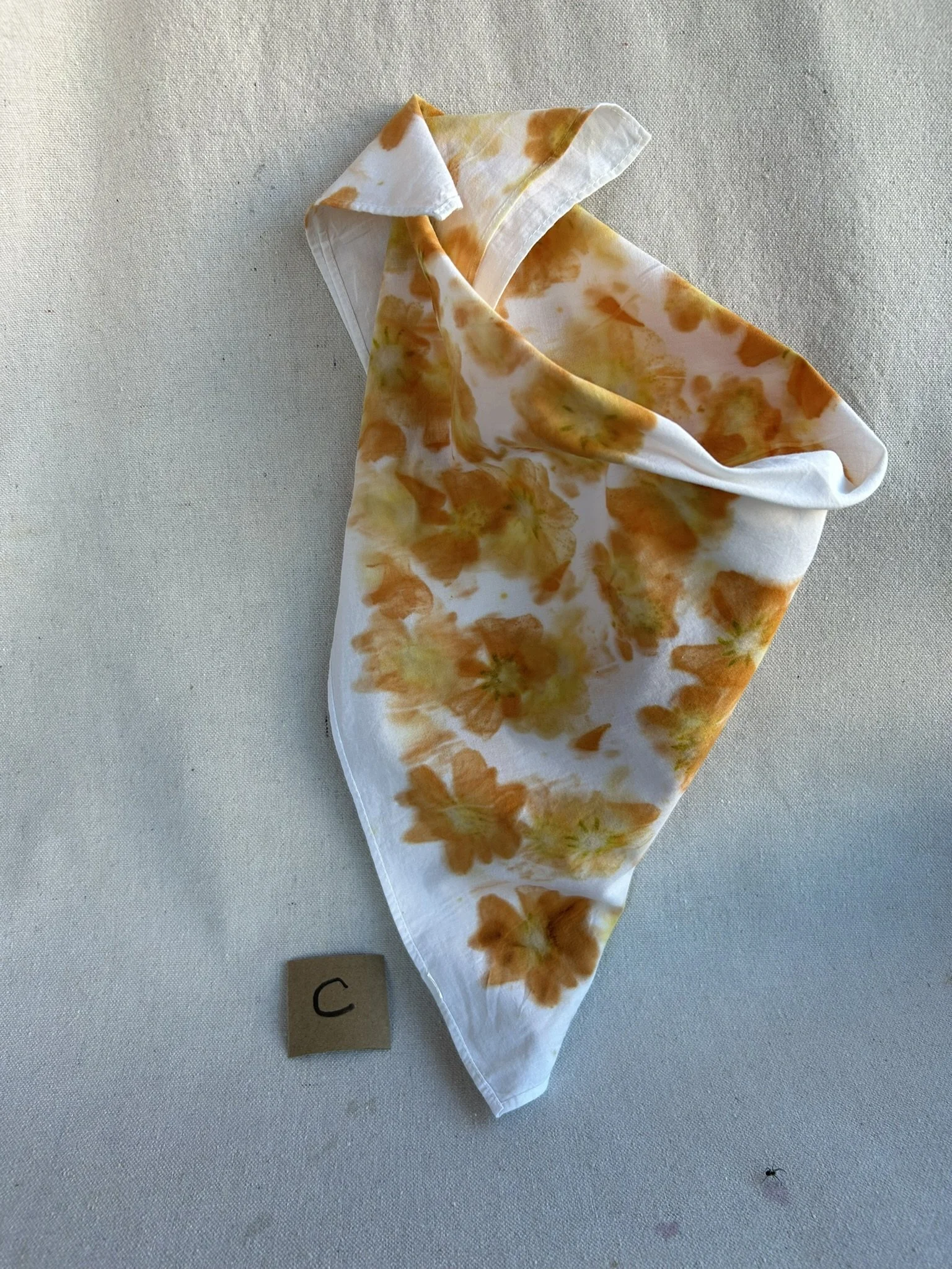 C Scarf.JPEG