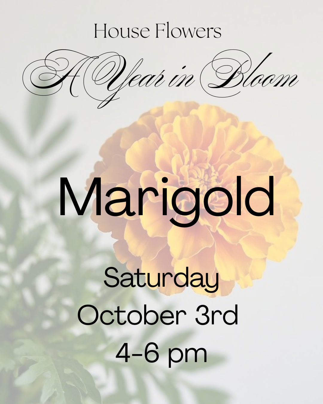 A Year in Bloom- Marigold - October 3