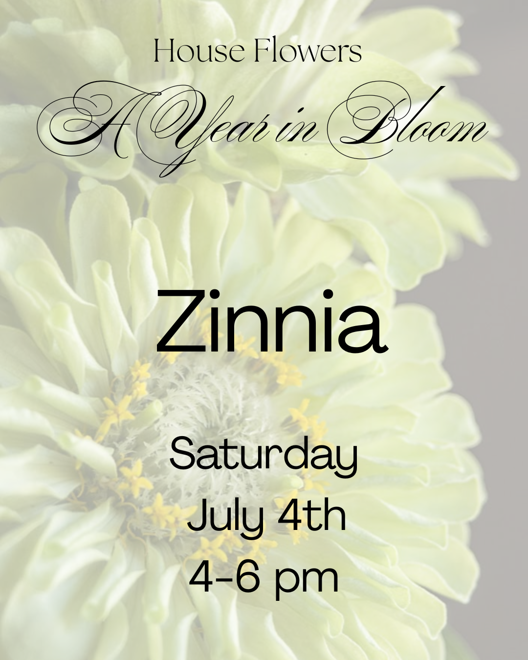 A Year in Bloom- Zinnia- July 4th