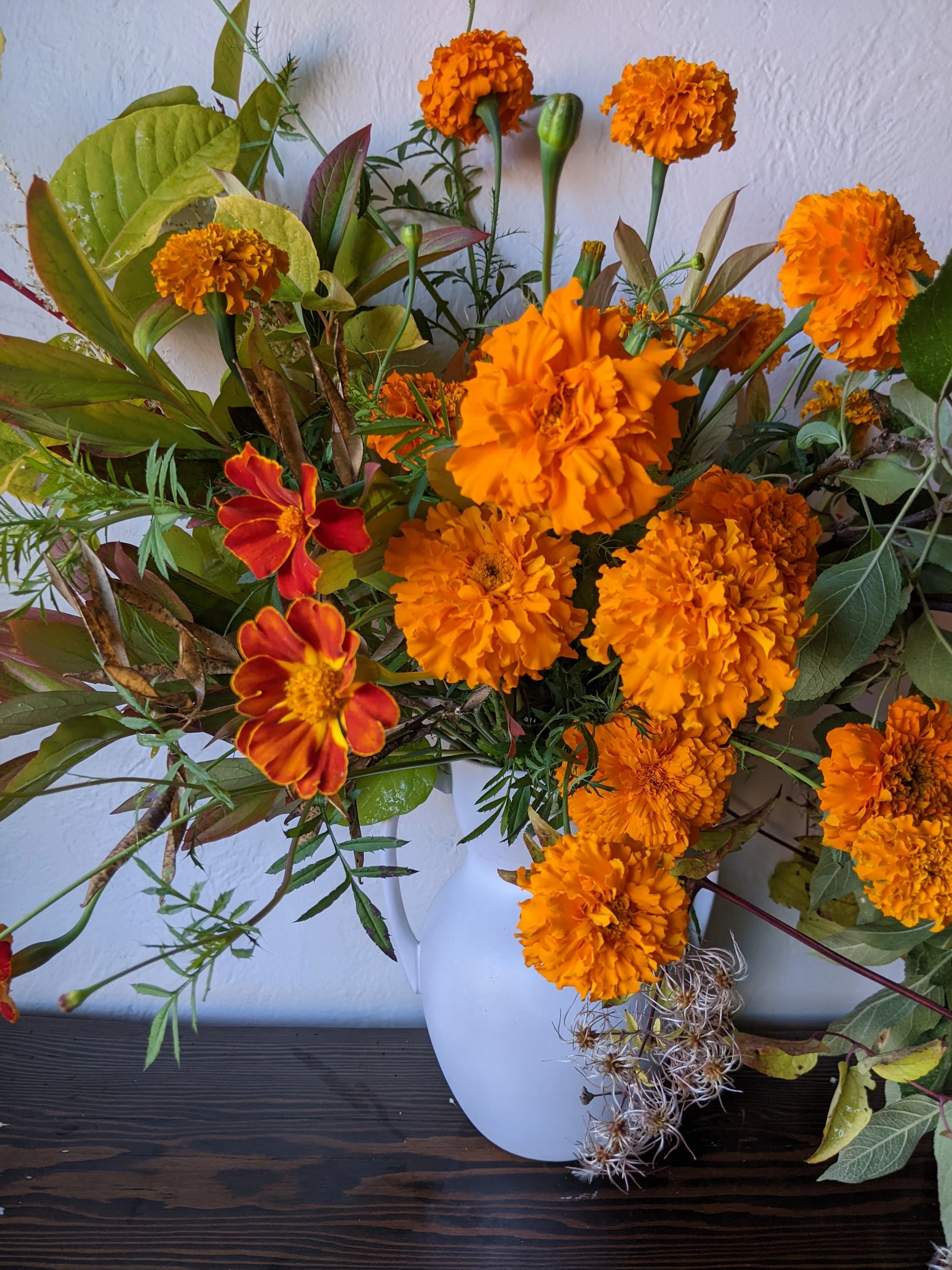 marigold in white .jpg