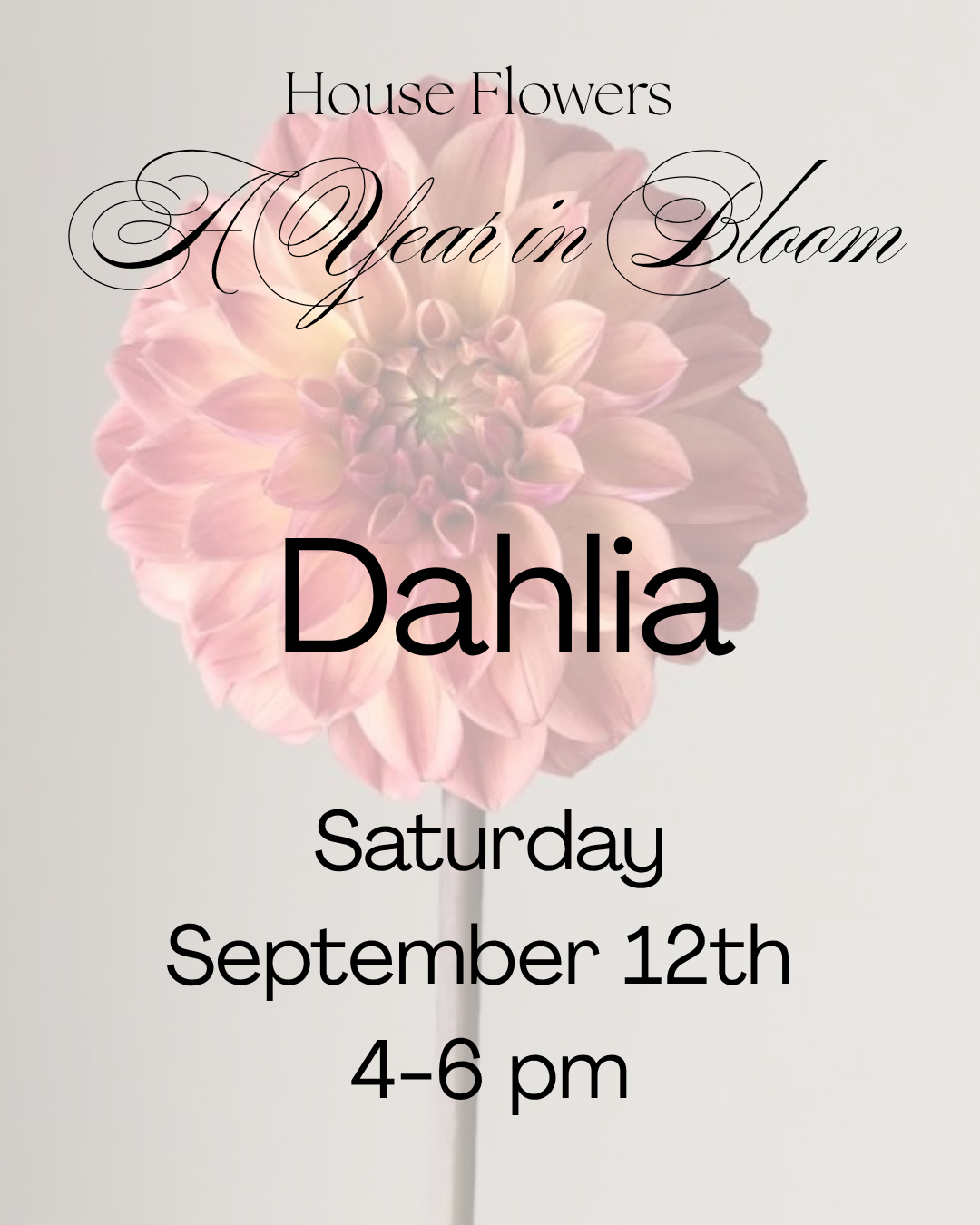 A Year in Bloom- Dahlia- September 12