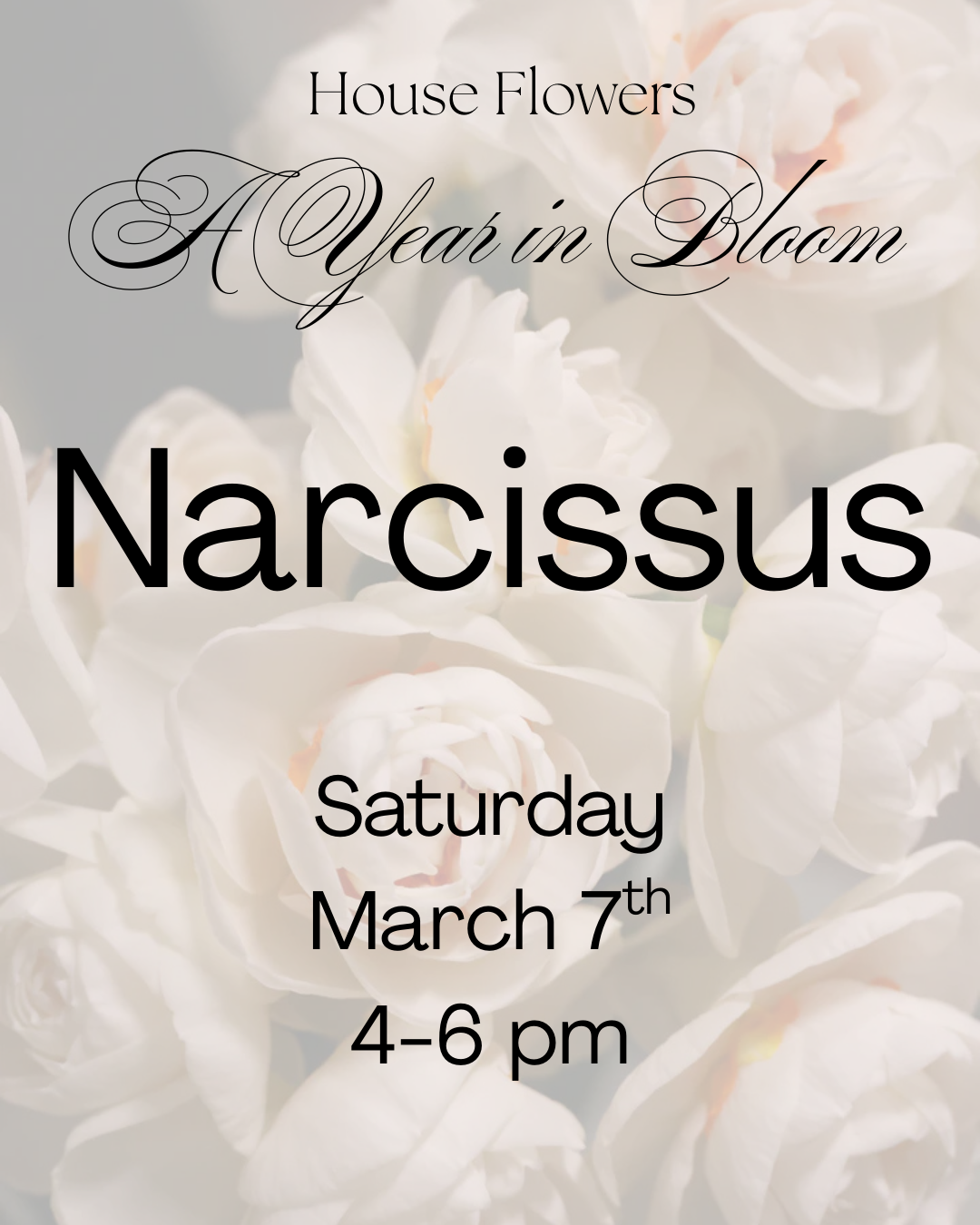 A Year in Bloom- Narcissus - March 7