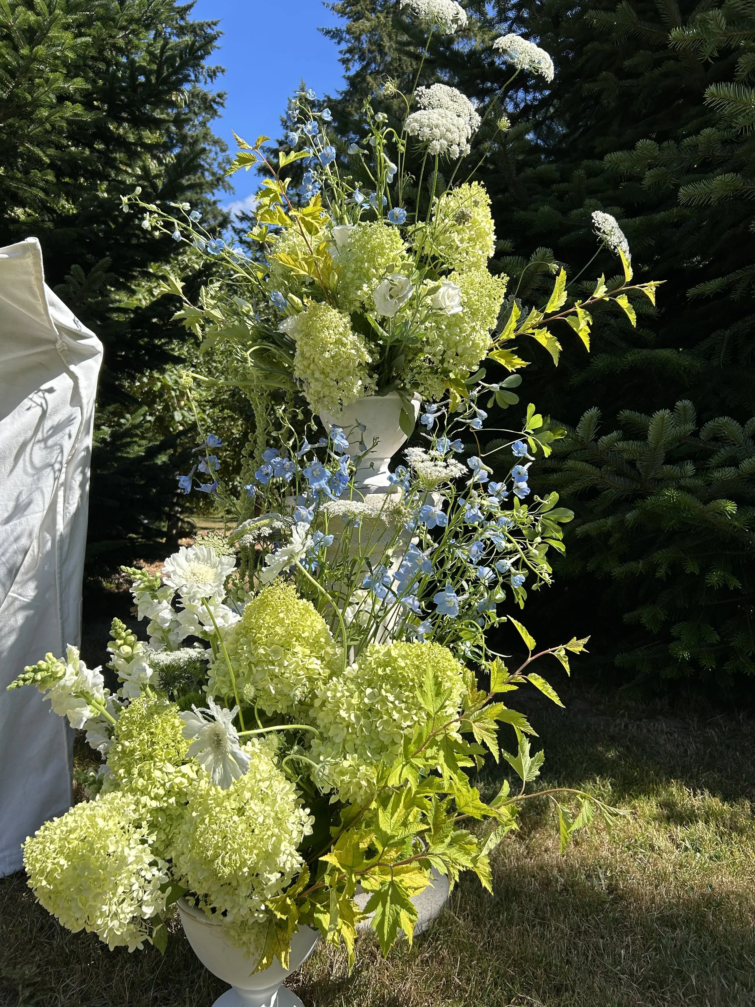 A large floral arrangement in a white urn, featuring white and pale yellow hydrangeas, white roses, small blue flowers, and a variety of green leaves, set outdoors with a background of green pine trees and a blue sky.