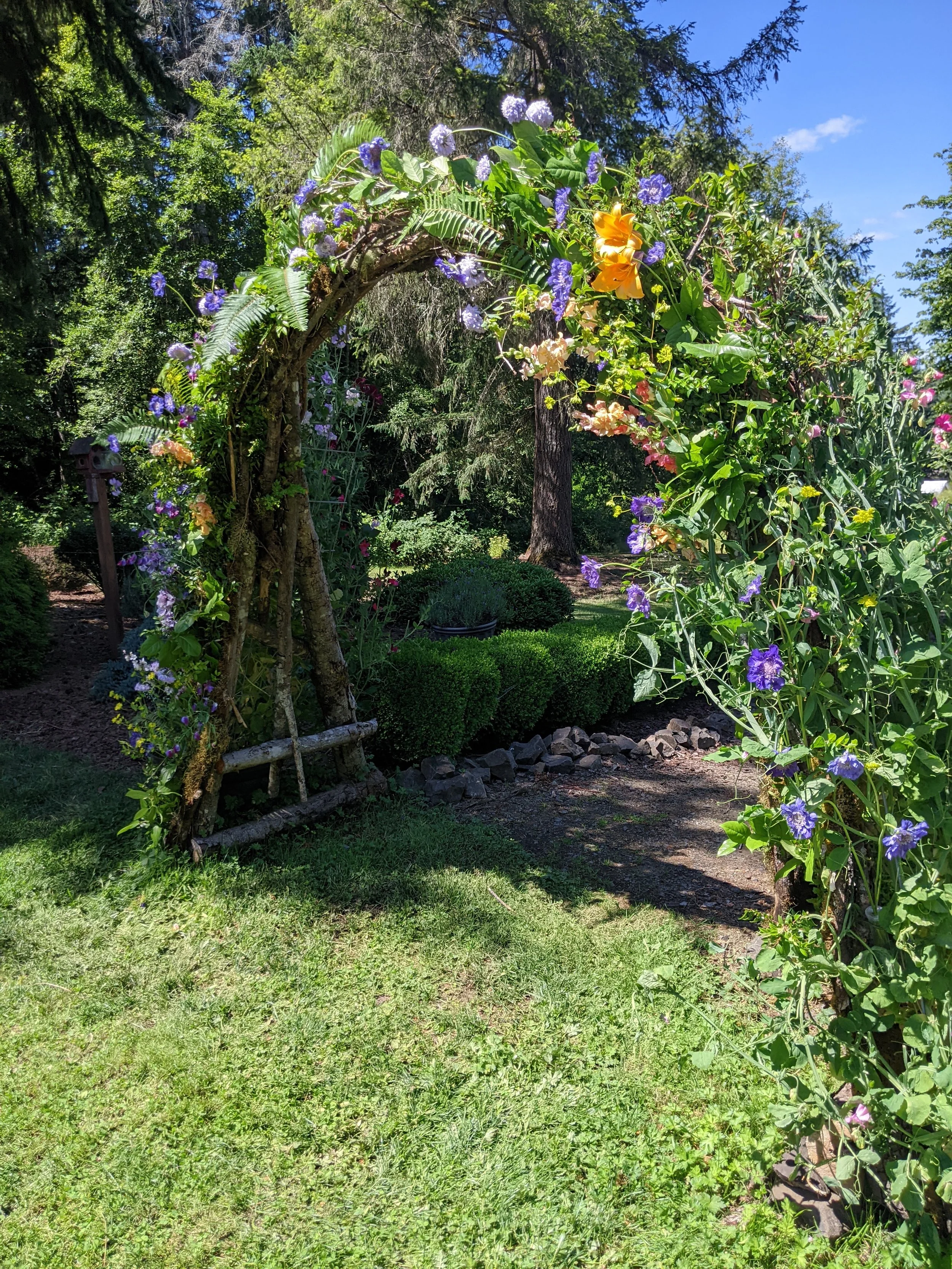 garden arch with purple.jpg