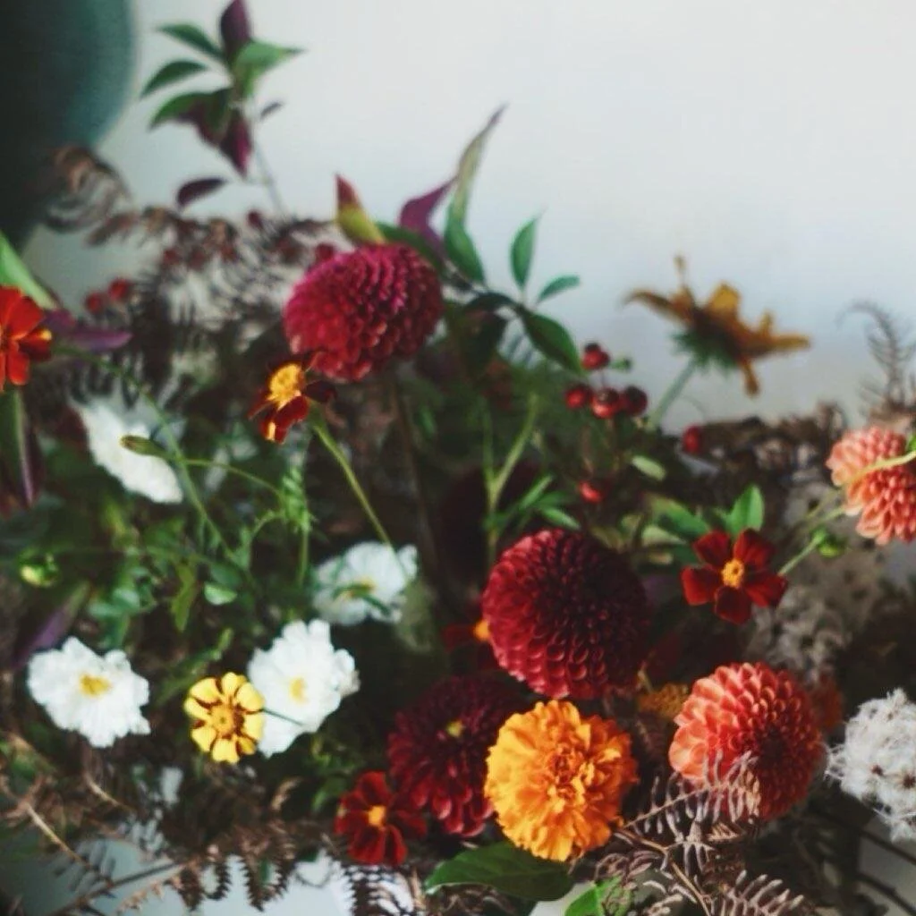 fall with dahlia- KZ.jpg