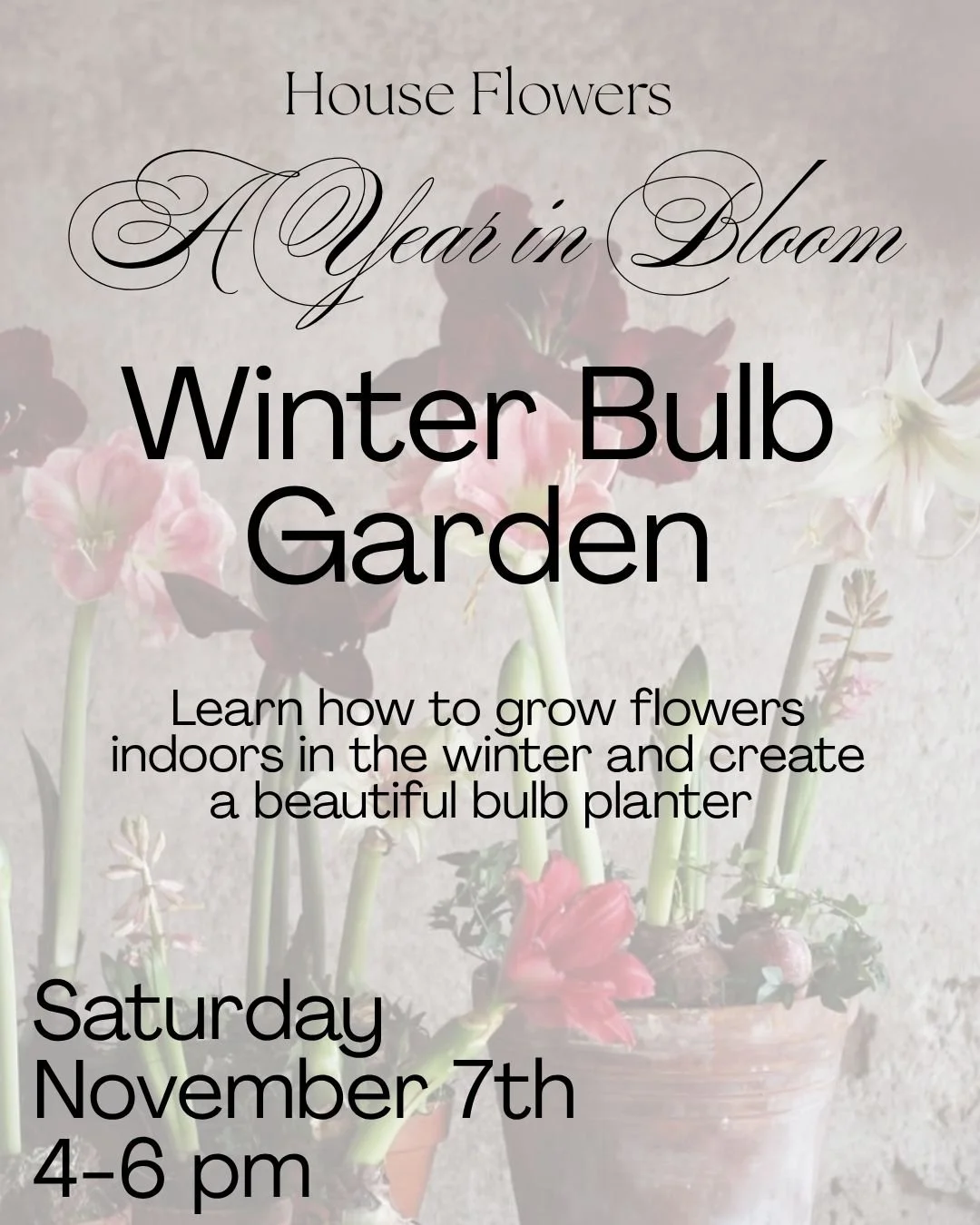 A Year in Bloom- Winter bulb.jpg