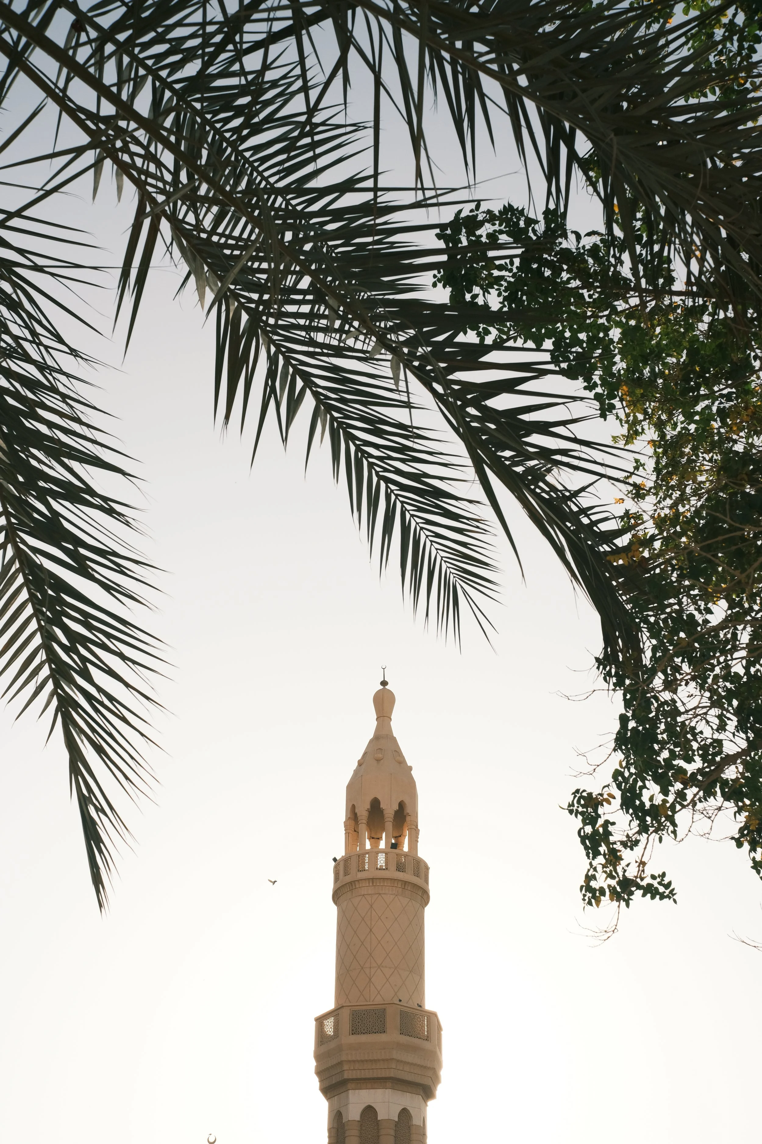 The third day of Ramadan.