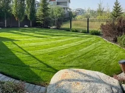 Well-maintained backyard lawn with striped grass, trees, shrubs, a fence, and a large rock in the foreground.