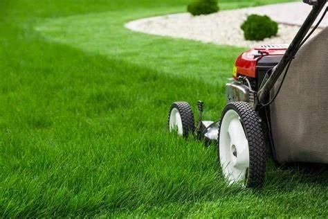 Lawn mower on a well-kept green lawn.