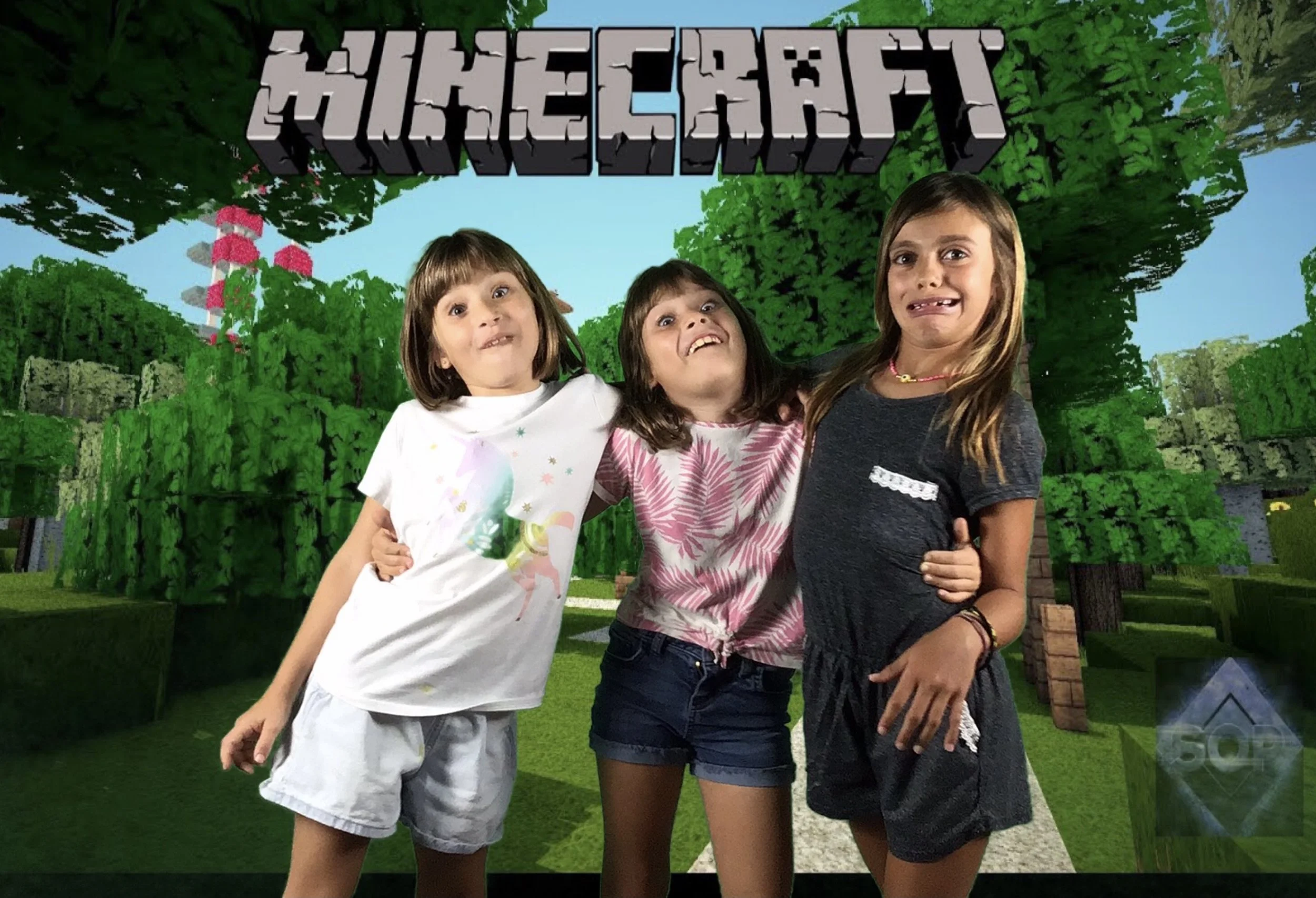 minecraft birthday