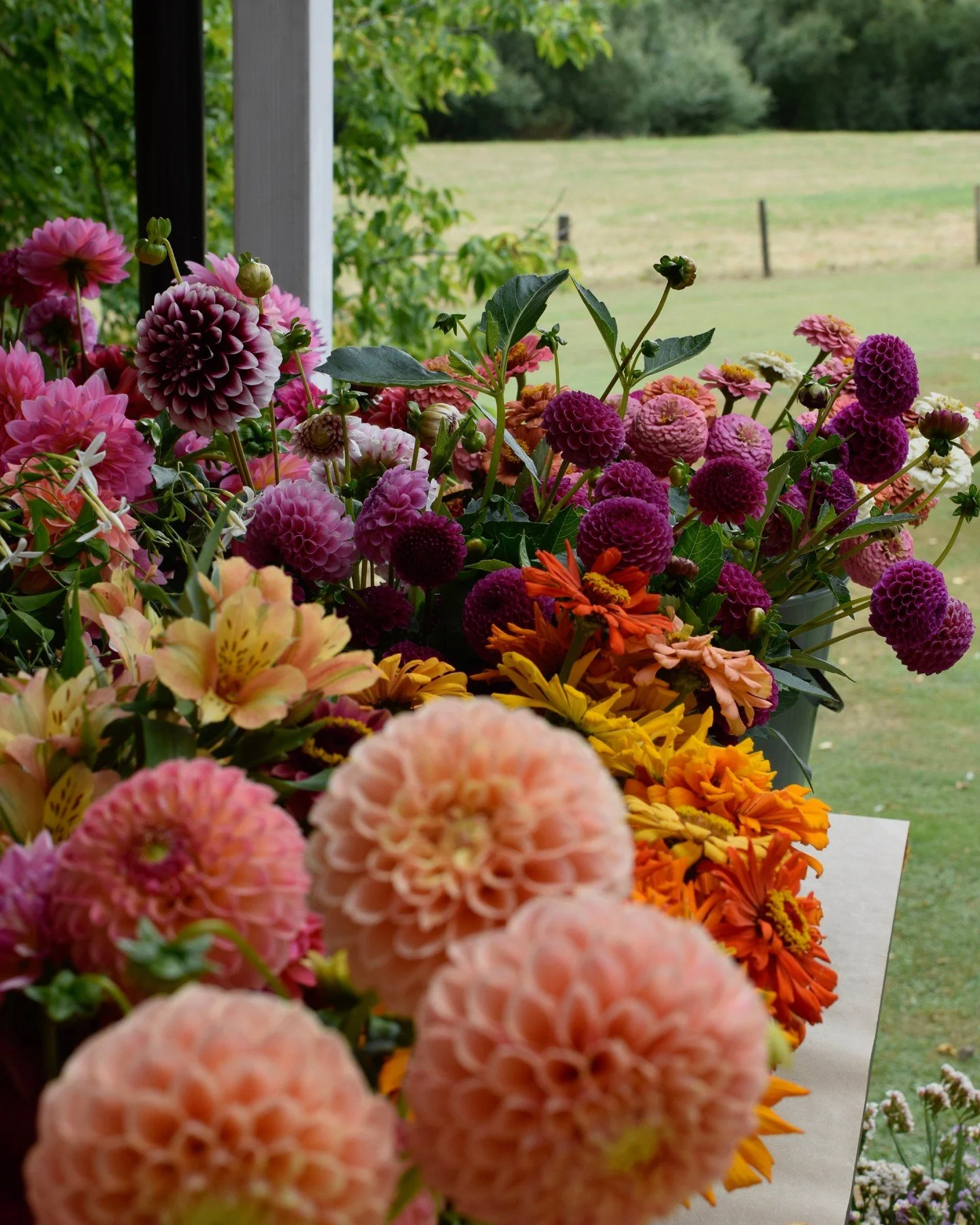 Spring is here &ndash; and so is the urge to tidy everything in sight.⁠
⁠
If you're preparing your home for sale, or simply want it to look its best, now's the time. We&rsquo;ve put together our top tips on getting your home photo-ready. ⁠
⁠
✨ Fresh,