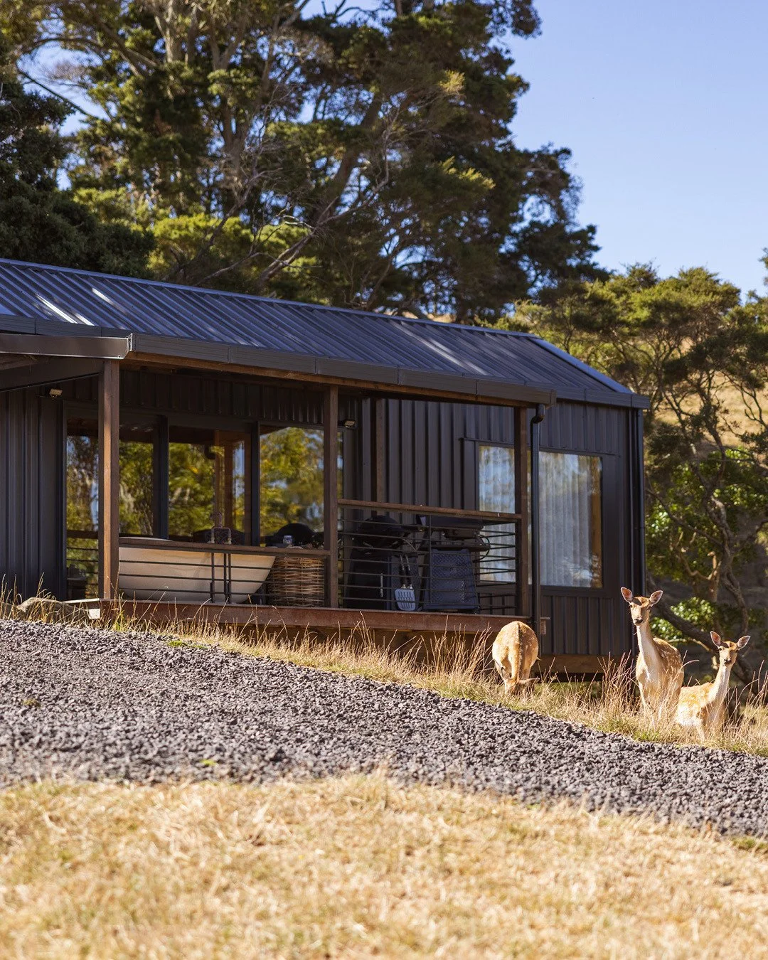 Halfway between Hamilton and Auckland, @fallowlodge is a must-do for your next staycation.⁠
⁠
Expect country charm, birdsong and the kind of rustic modern warmth that makes you instantly unwind.⁠
⁠
Read about it in our latest issue via our #linkinbio