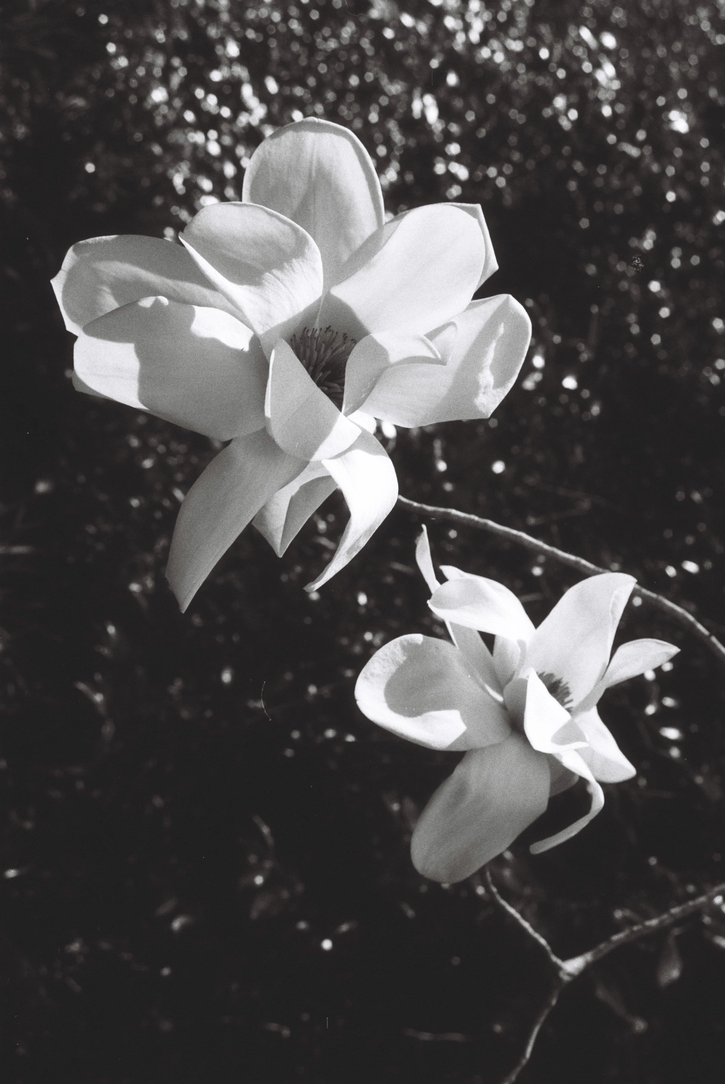 Touch-points for the season of Spring