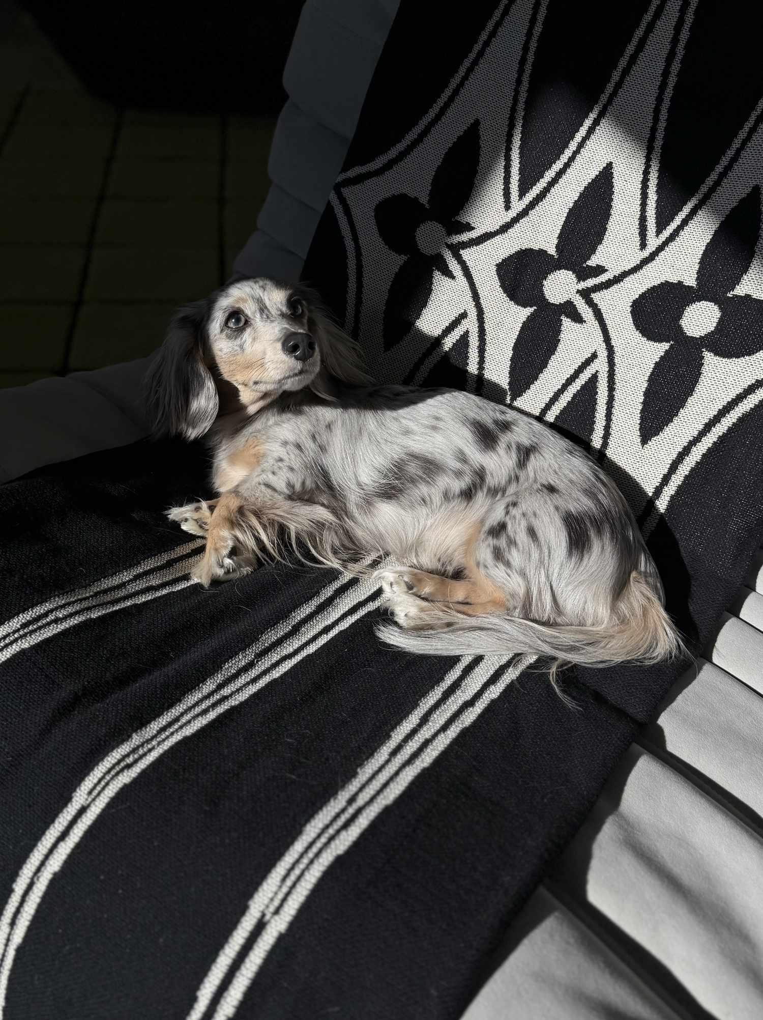 Screenshot 2026-02-28 at 4.42.57 PM.png