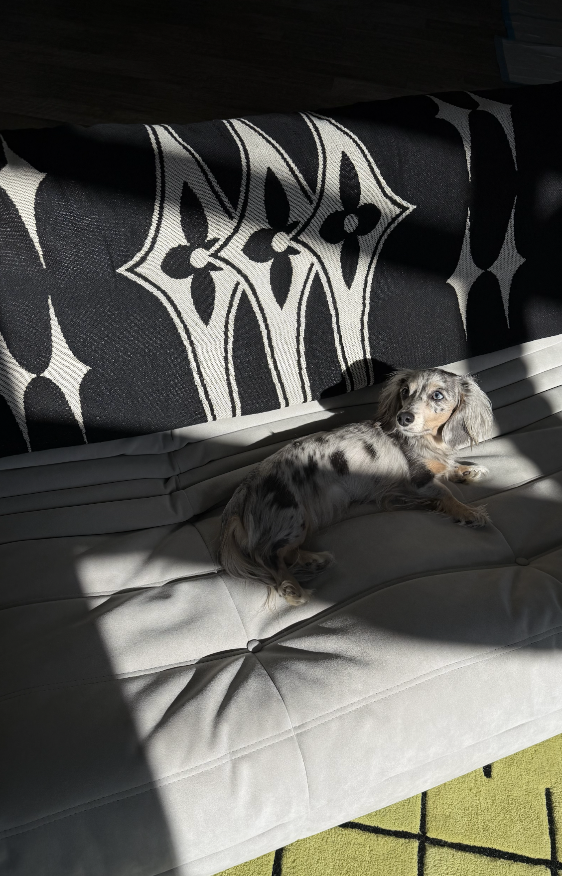 Screenshot 2026-02-28 at 4.43.16 PM.png