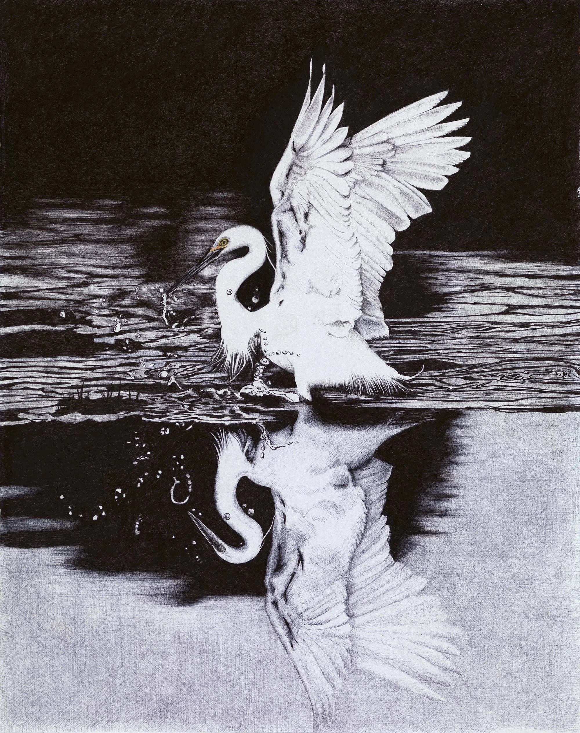 Reflection