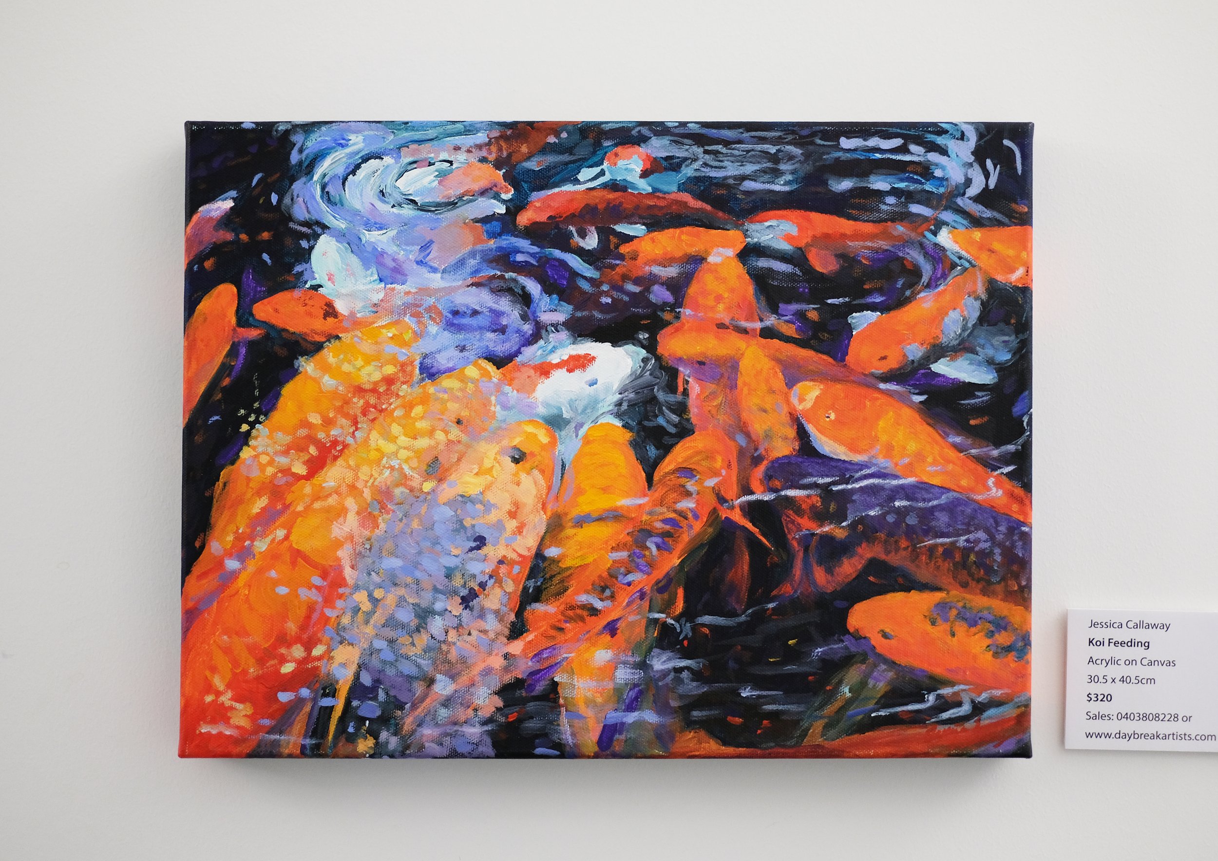 Koi Feeding