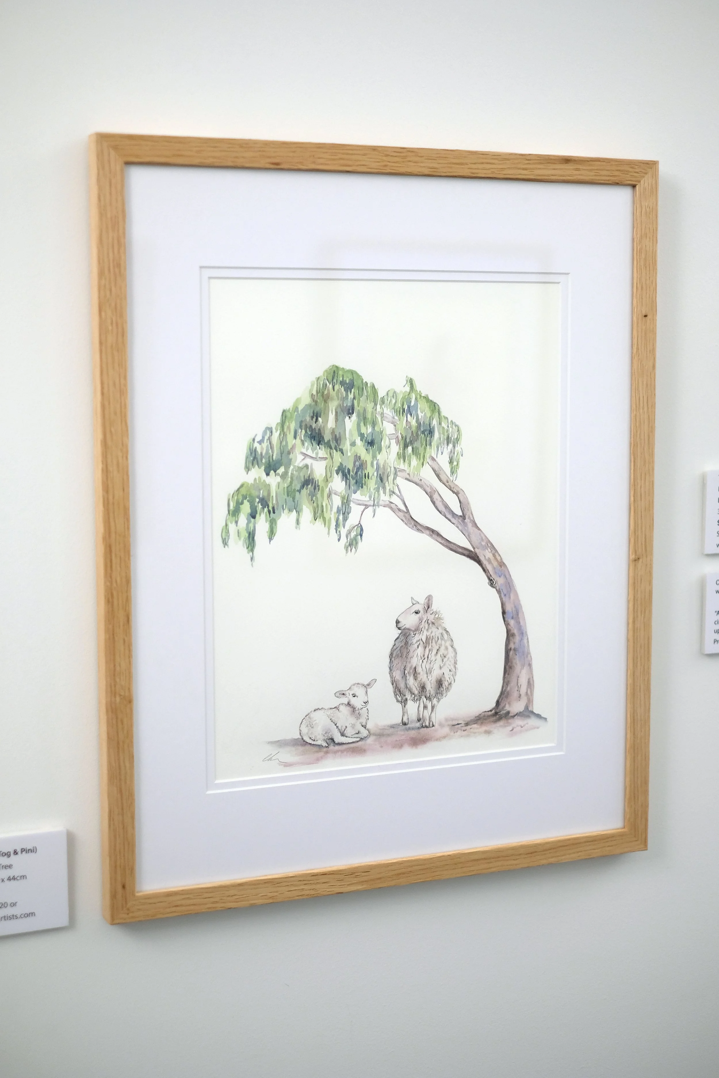 Under the Gum Tree Watercolour