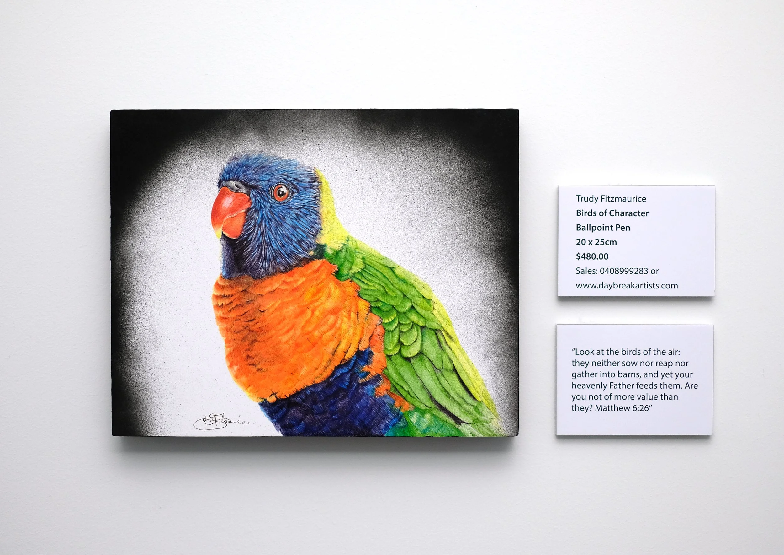 Birds of Character