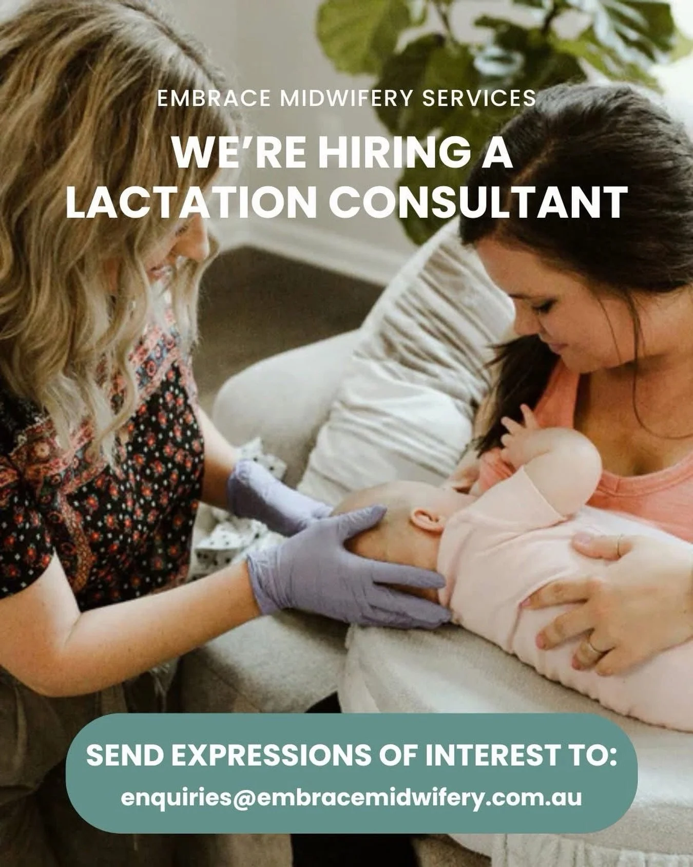 🤍 𝐖𝐞&rsquo;𝐫𝐞 𝐠𝐫𝐨𝐰𝐢𝐧𝐠 𝐨𝐮𝐫 𝐄𝐦𝐛𝐫𝐚𝐜𝐞 𝐌𝐢𝐝𝐰𝐢𝐟𝐞𝐫𝐲 𝐓𝐞𝐚𝐦 🤍

Embrace Midwifery Services is looking to connect with a qualified Lactation Consultant who is passionate about supporting families through their breastfeeding jou