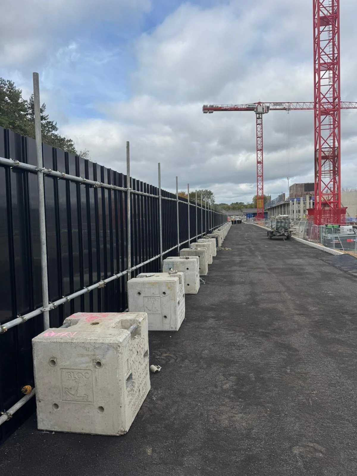 Natural History Museum, Reading