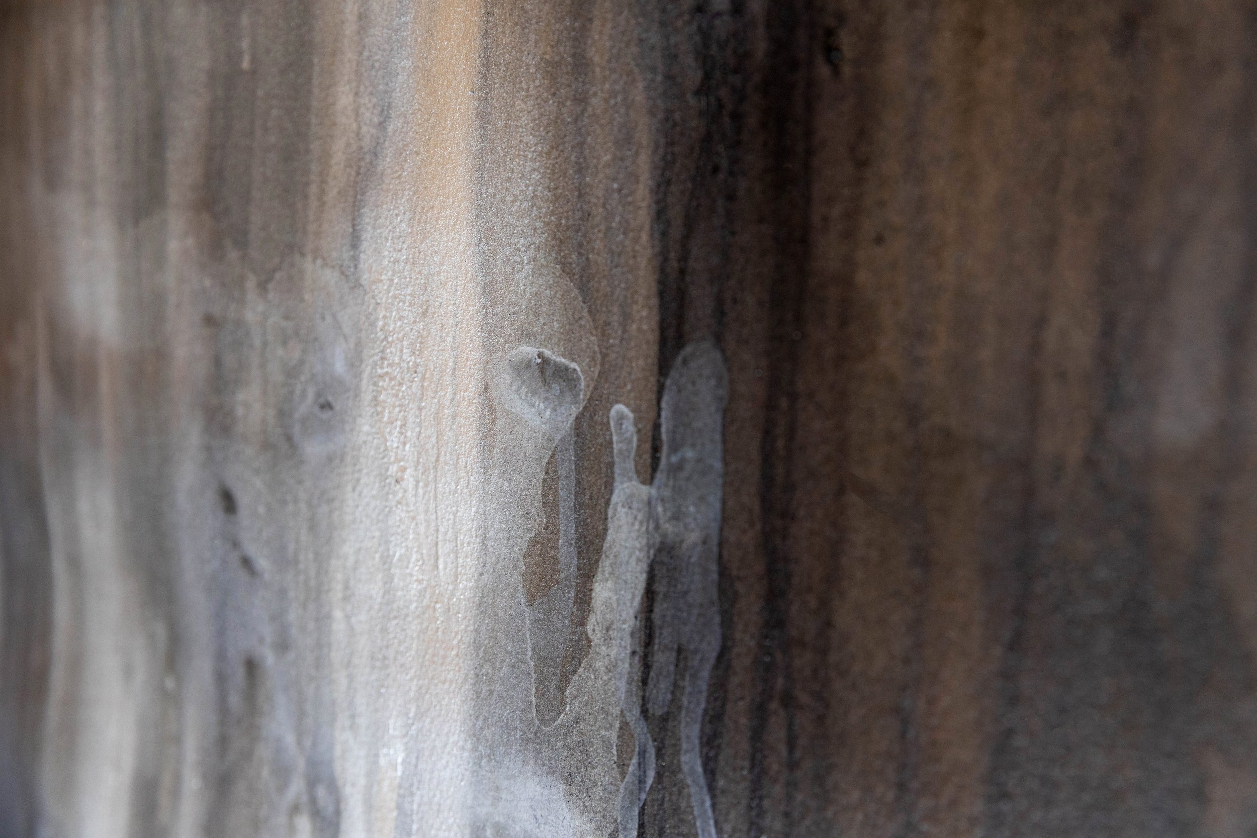 Deep Dark Wood_landscape_50x76cm 2.jpg