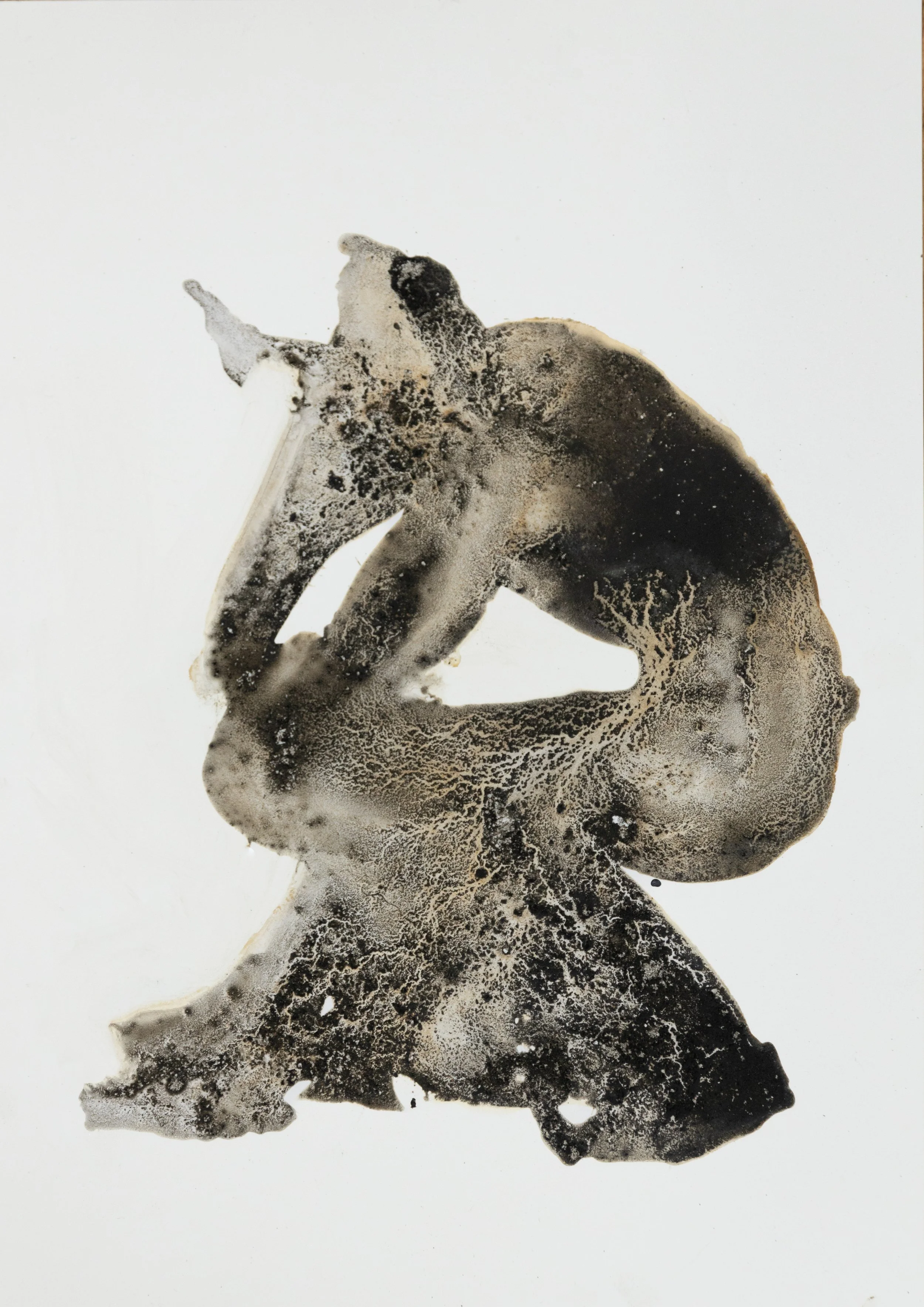 Primordial Thinking