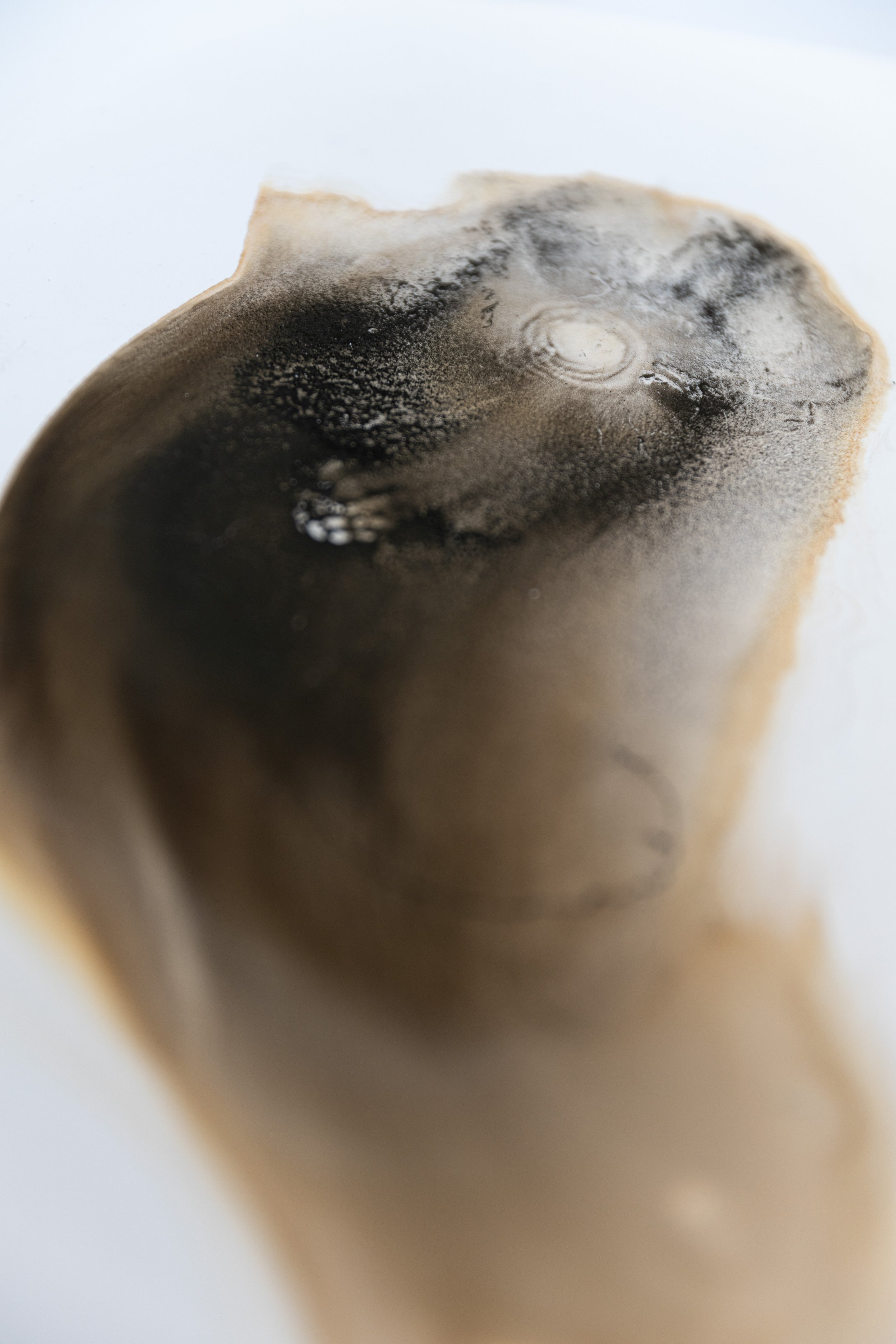 KathyMiller_PrimordialCore,no.iii_Detail.jpg