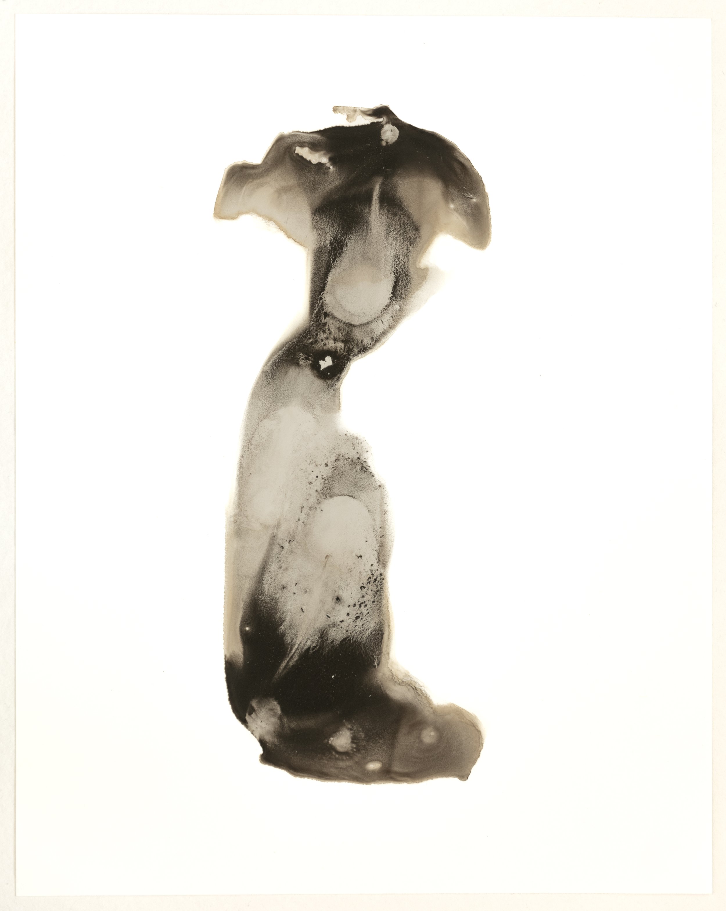 Elemental Venus_36x28cm.jpg