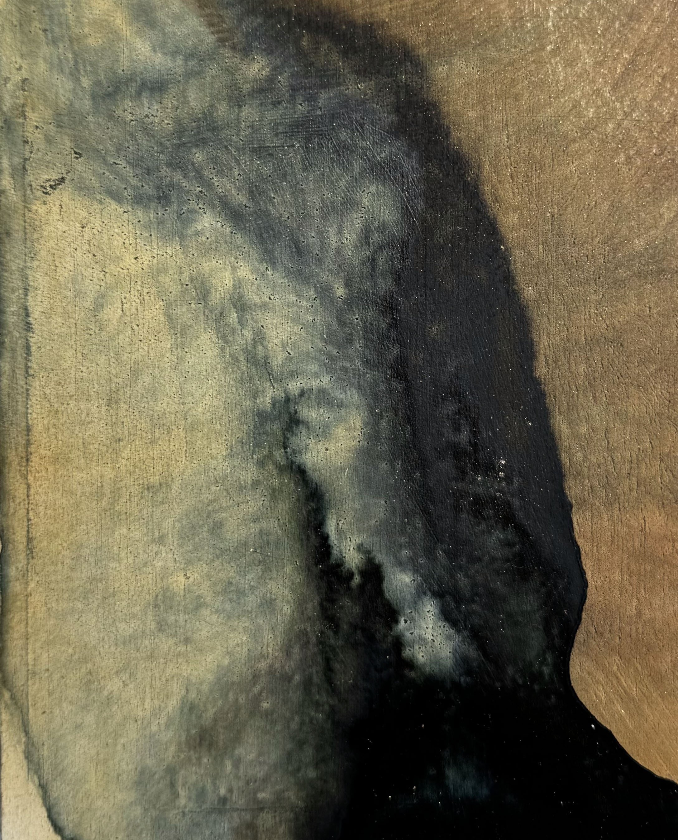 olourMarginsIV
